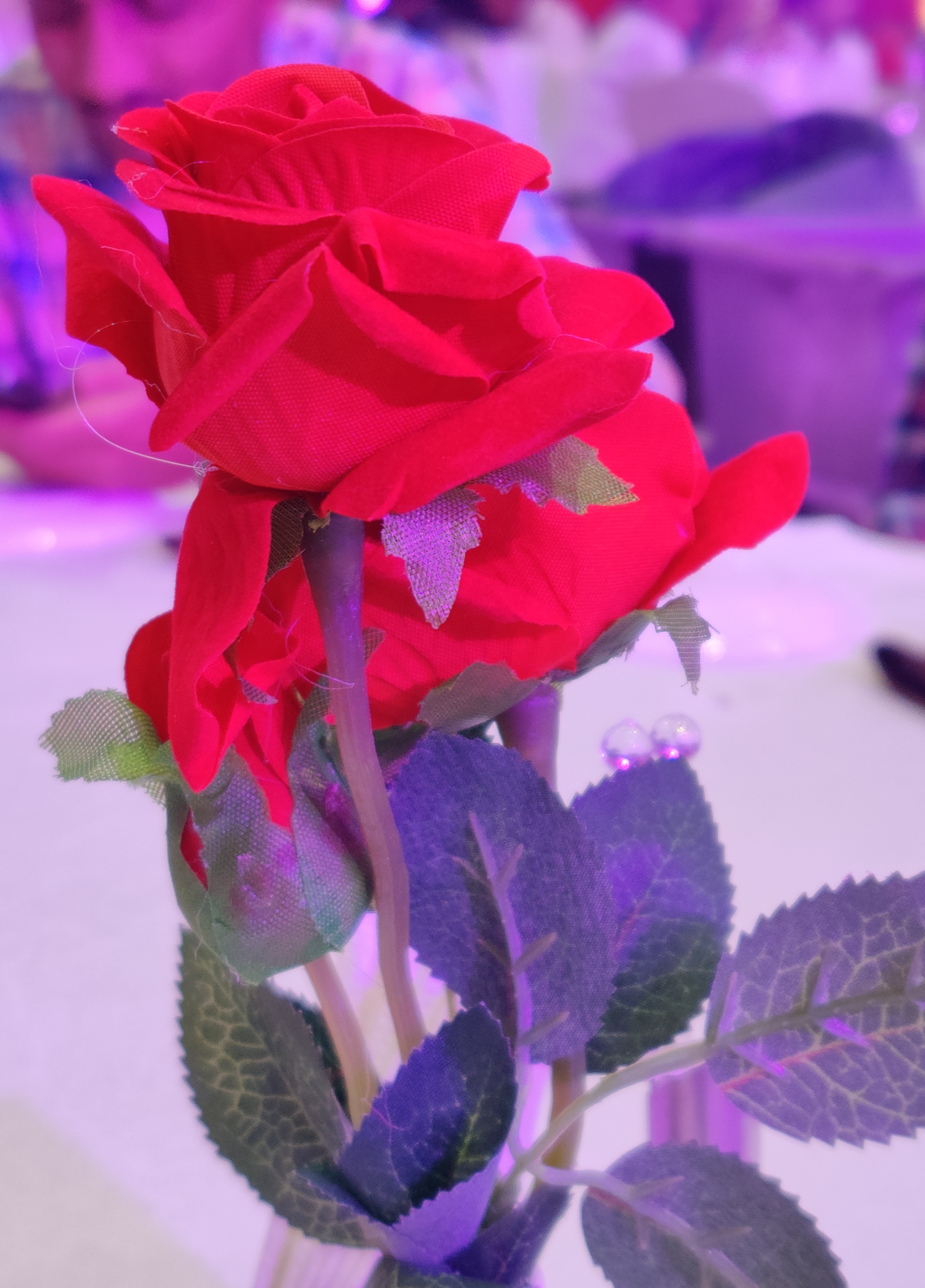 IMG_20191120_210214__01.jpg