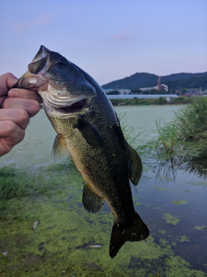 KakaoTalk_20180726_090308101.jpg