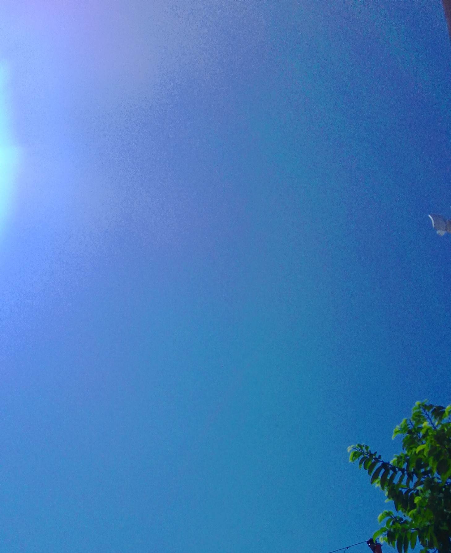 IMG_20210519_144137.jpg