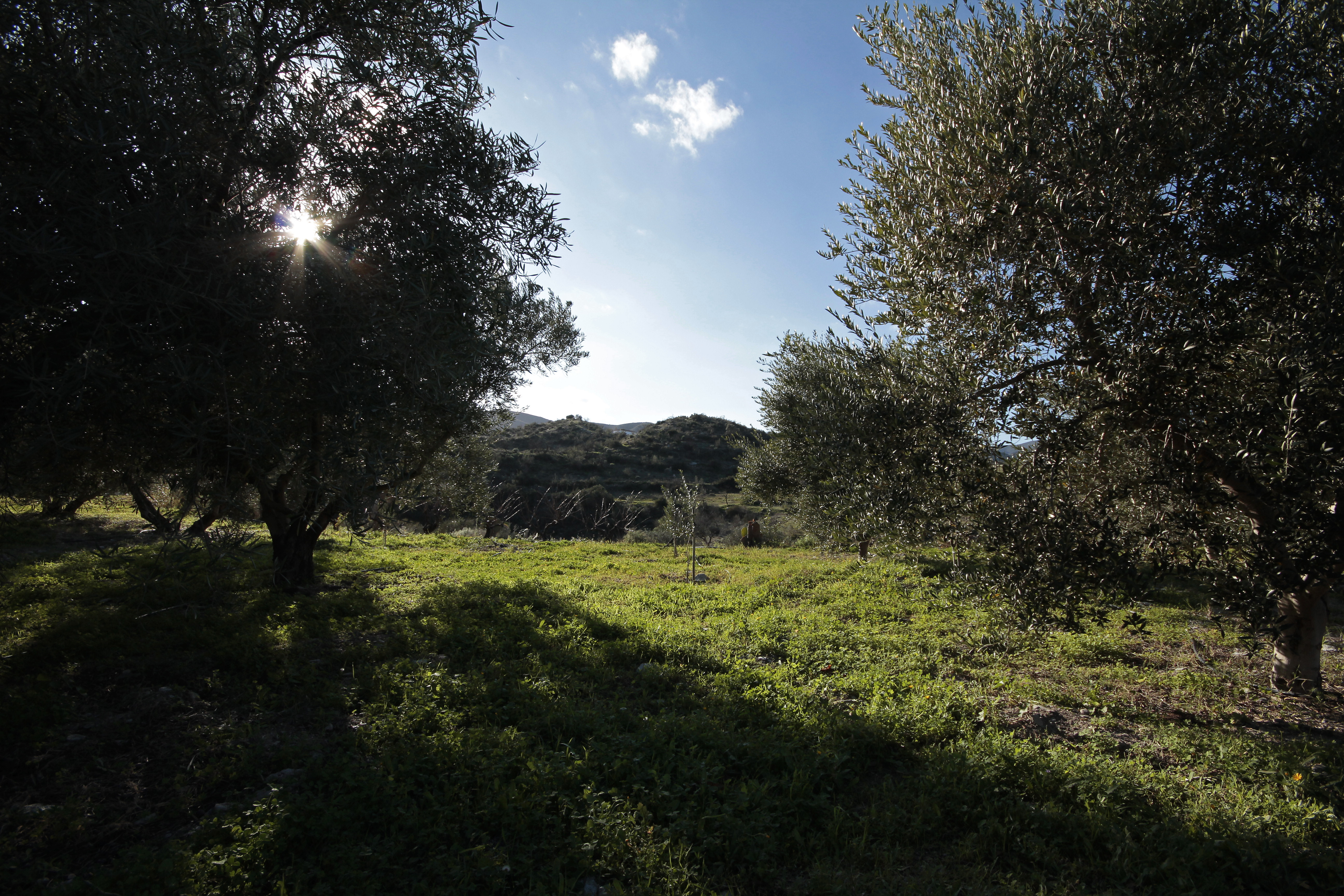 _MG_1746.jpg
