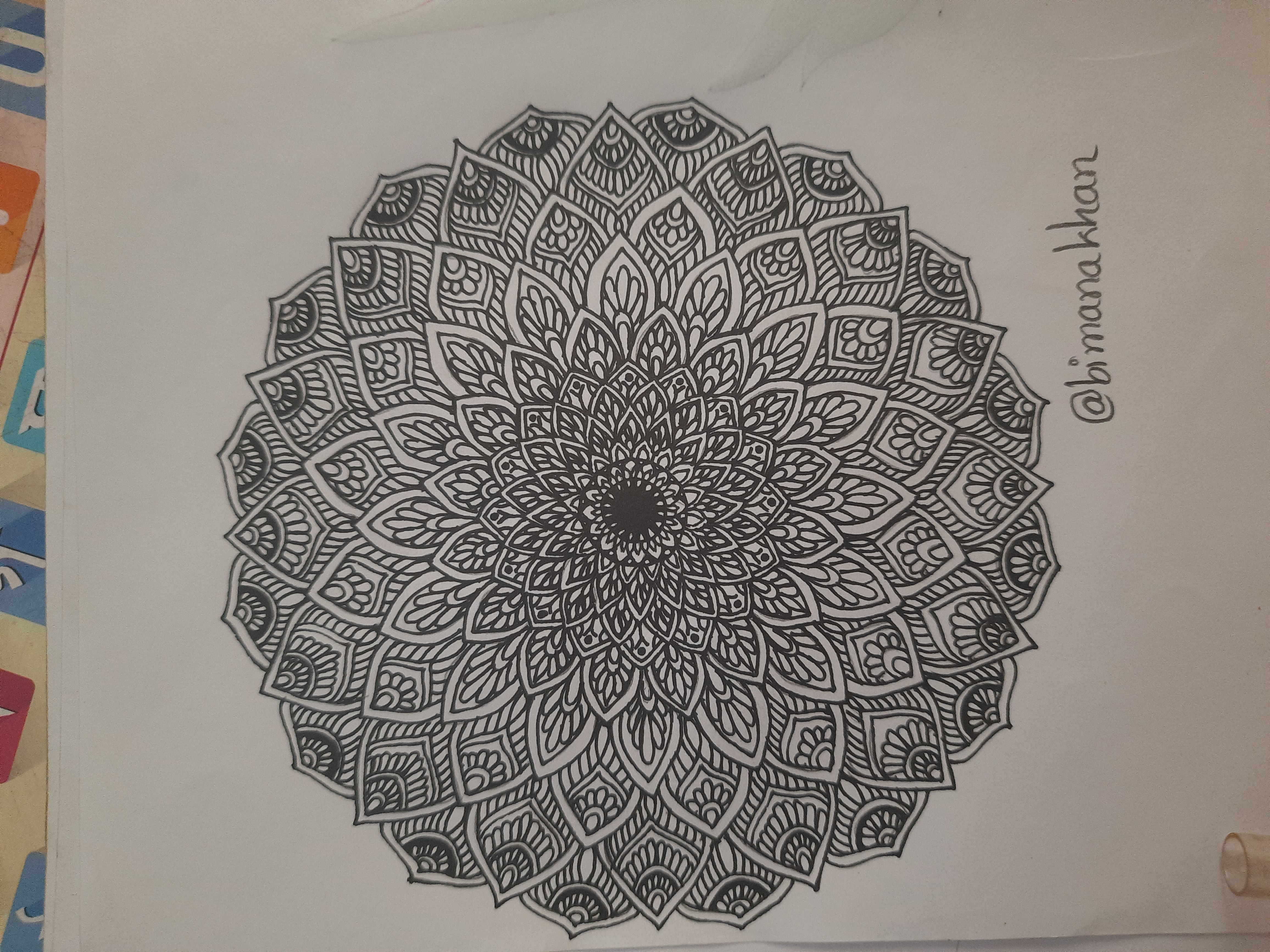 20260406_170804.jpg