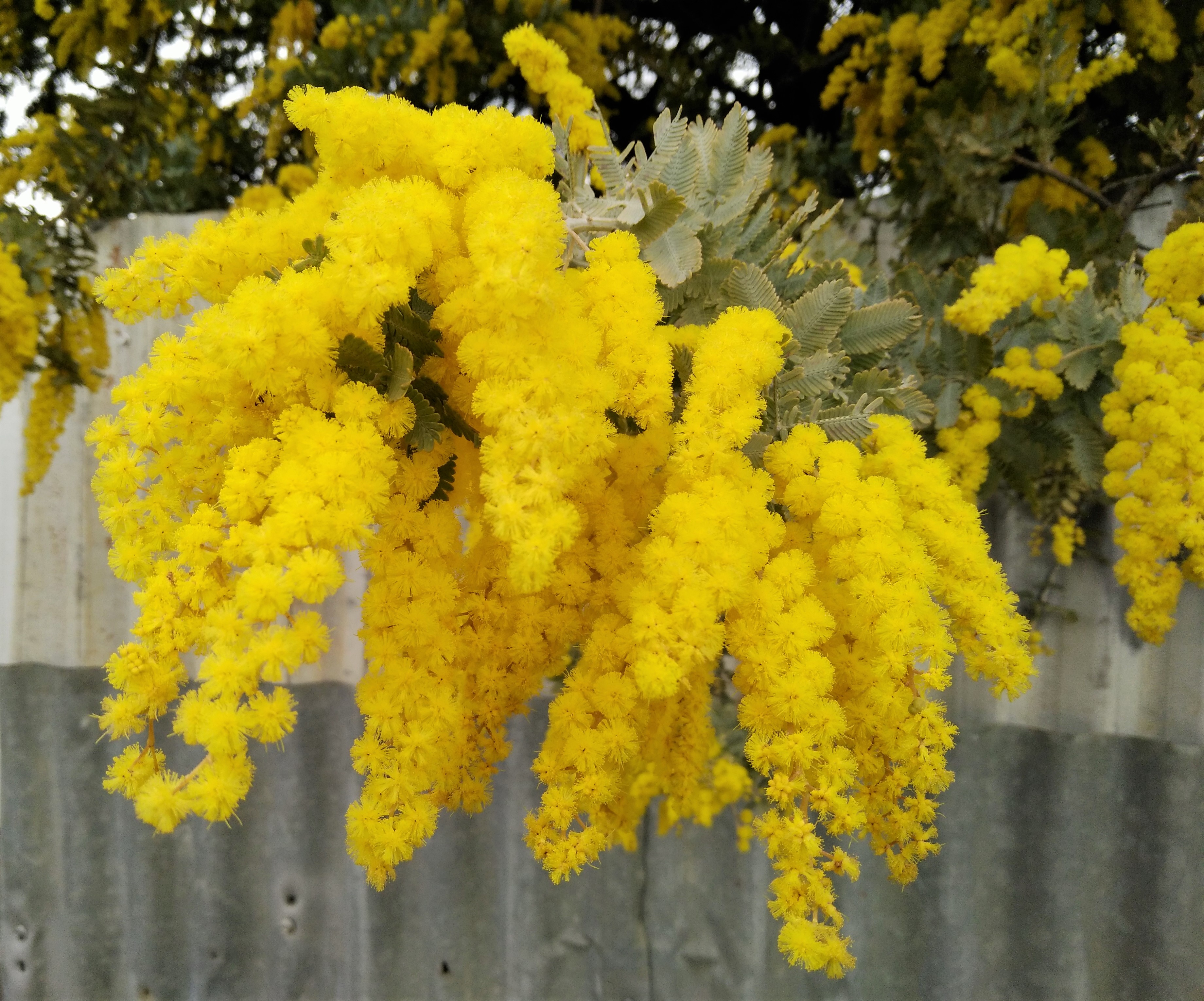 IMG20190820143550.jpg