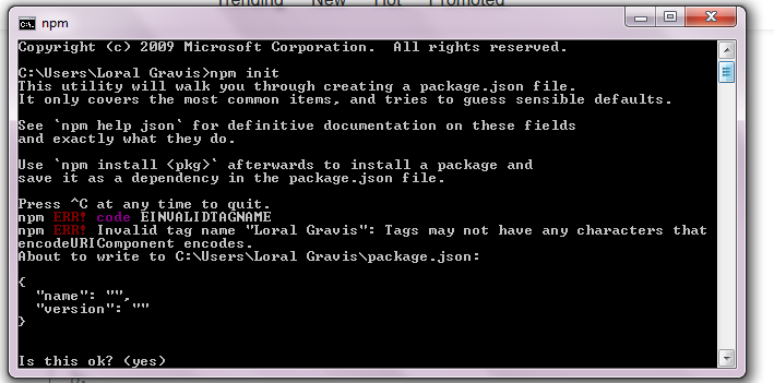 npm.png