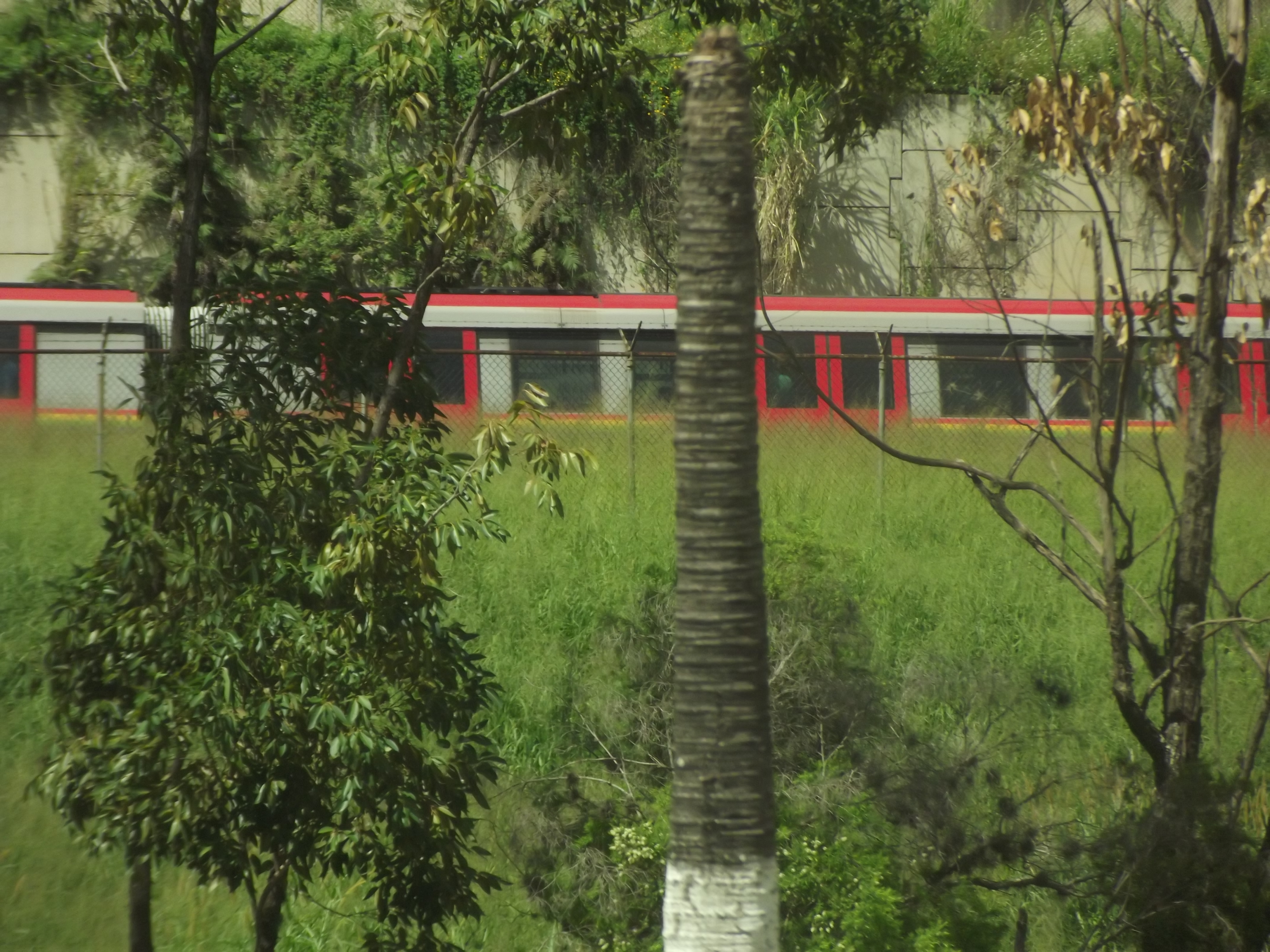 main_image