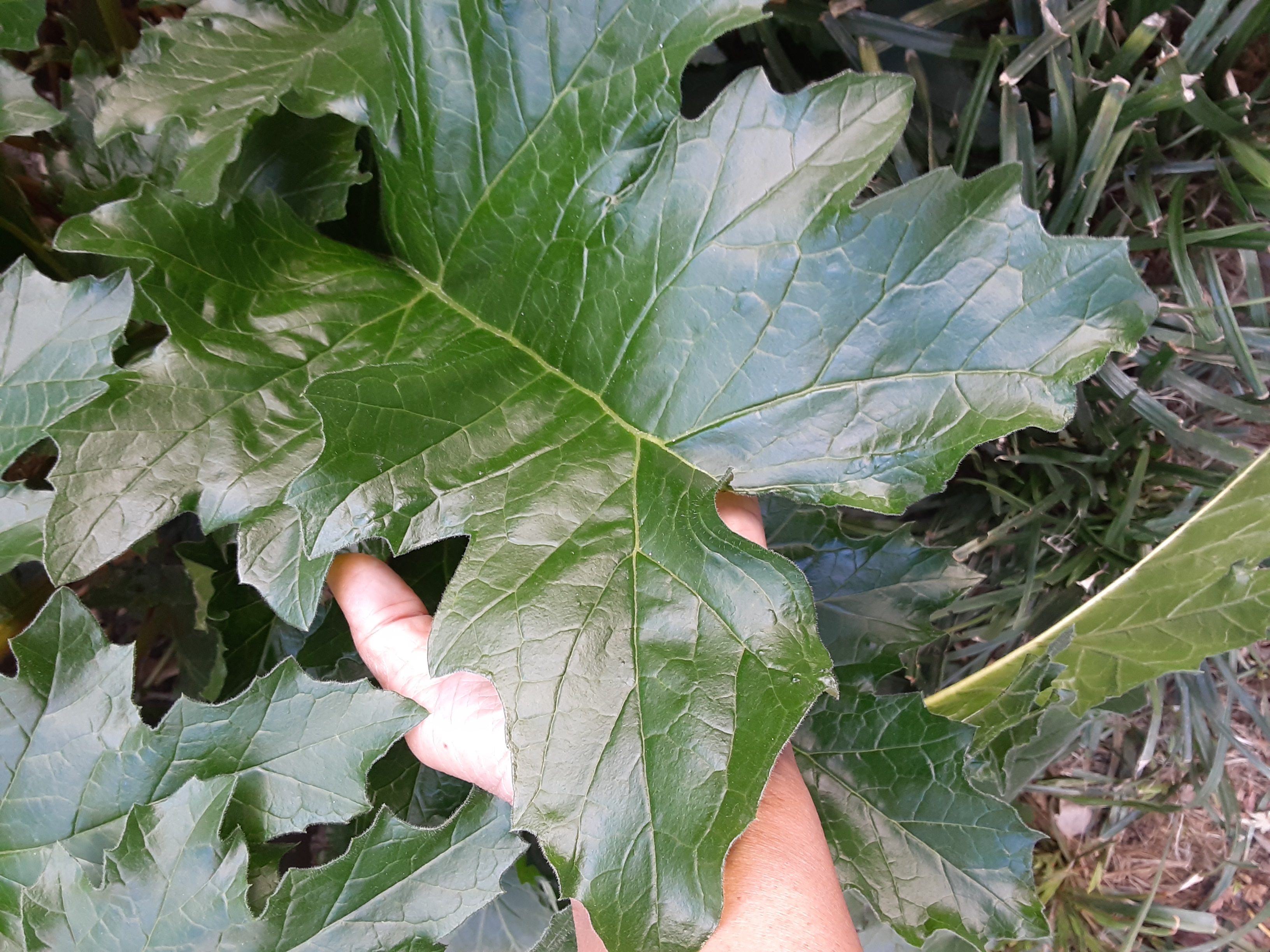 20231108_123333.jpg