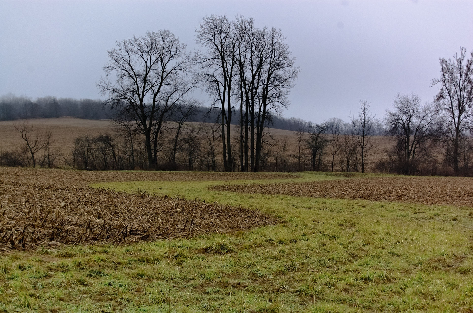 DSC_0798.jpg
