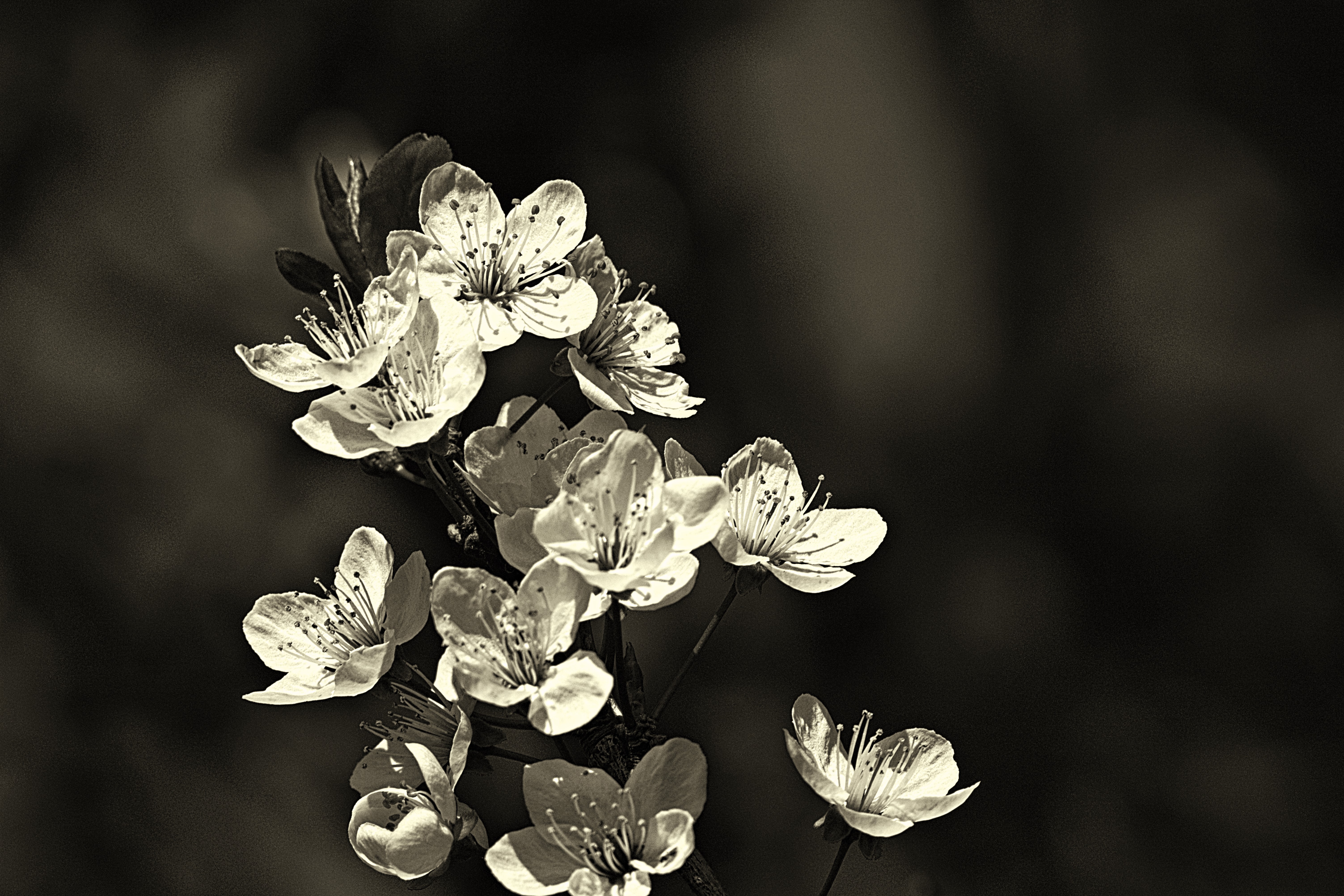 IMG_1392 (3)_InPixio.jpg