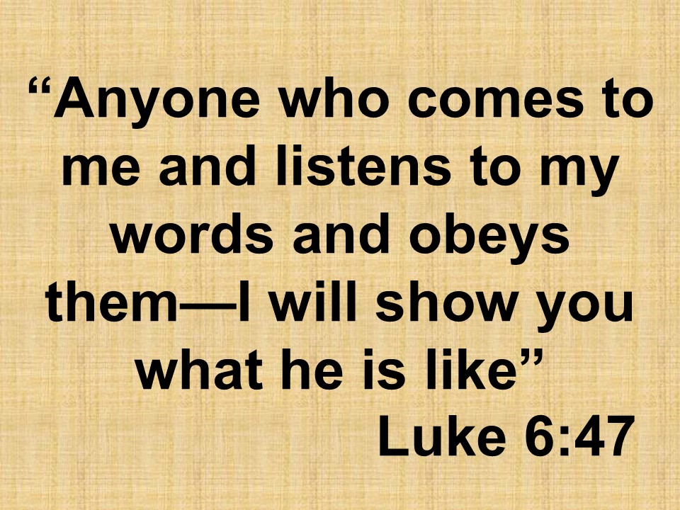 Jesus is the way. Anyone who comes to me and listens to my words and obeys them—I will show you what he is like. Luke 6,47.jpg