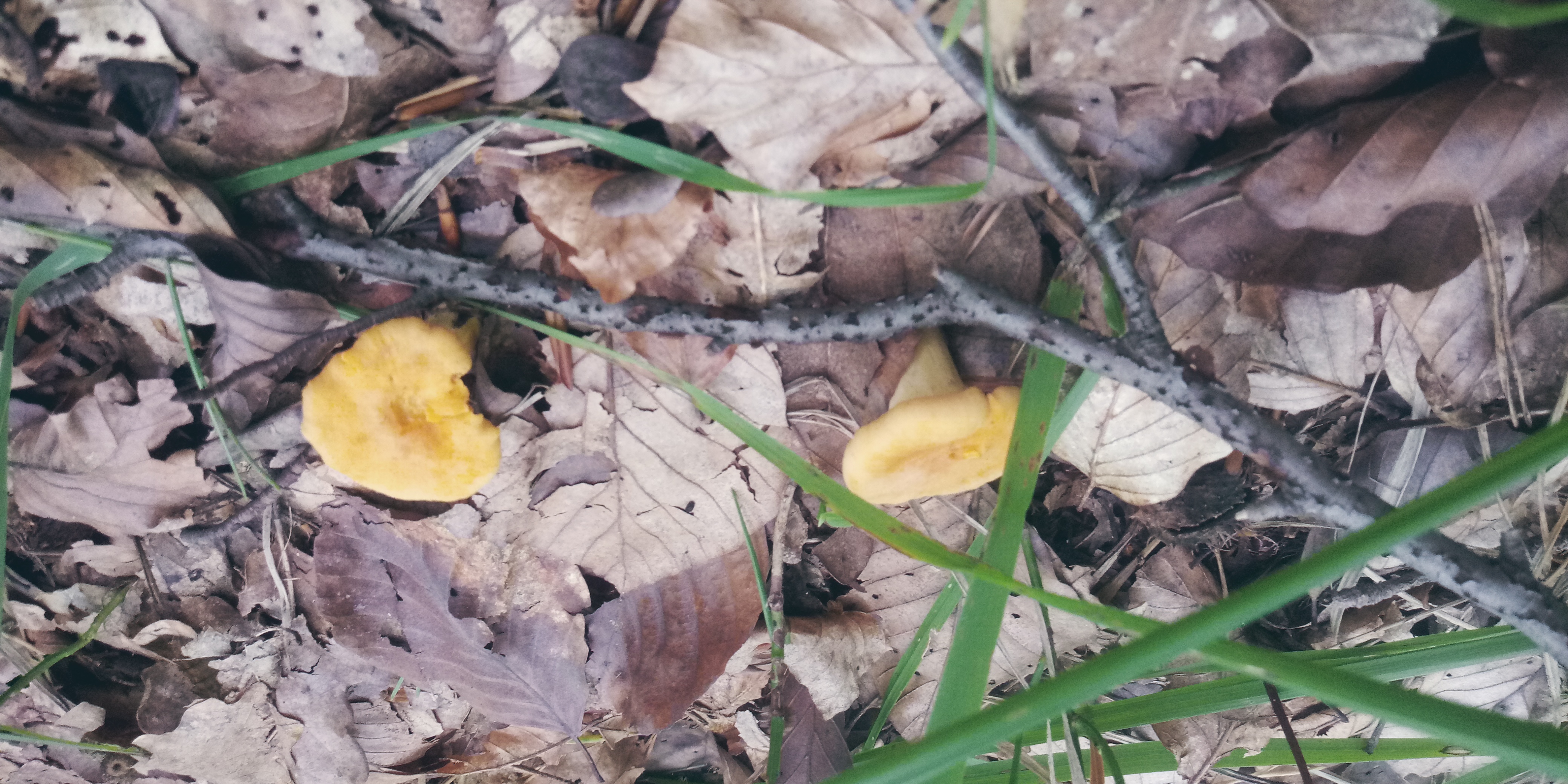 20200816_120612.jpg
