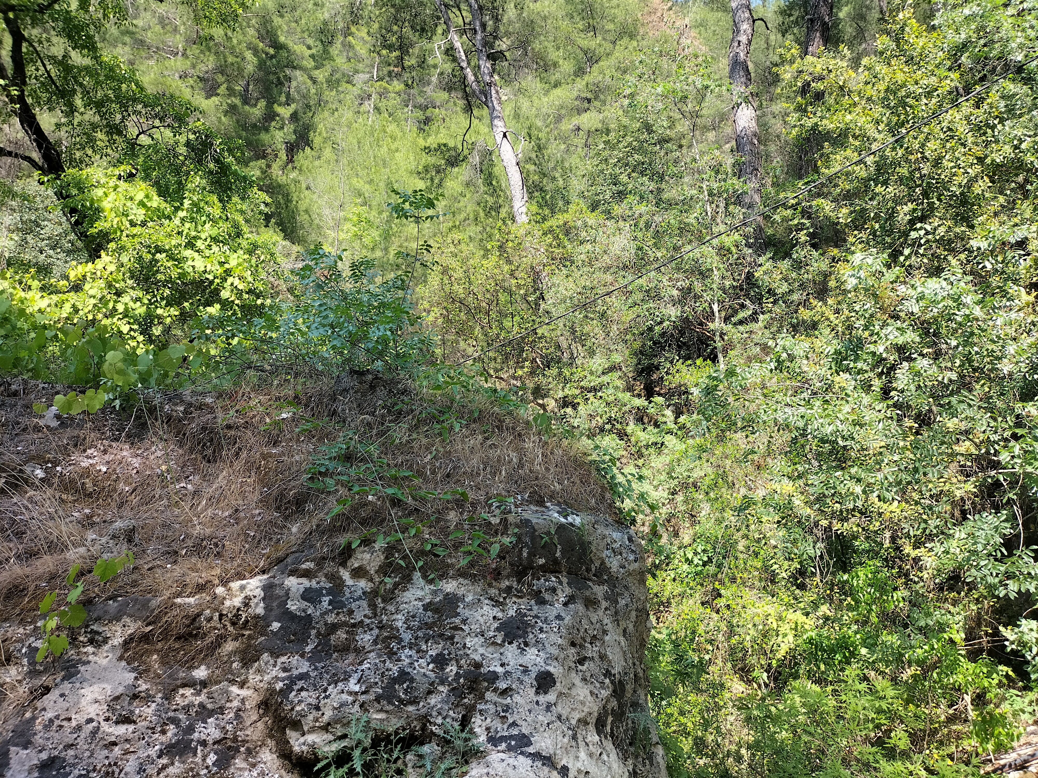 IMG20220520153316.jpg