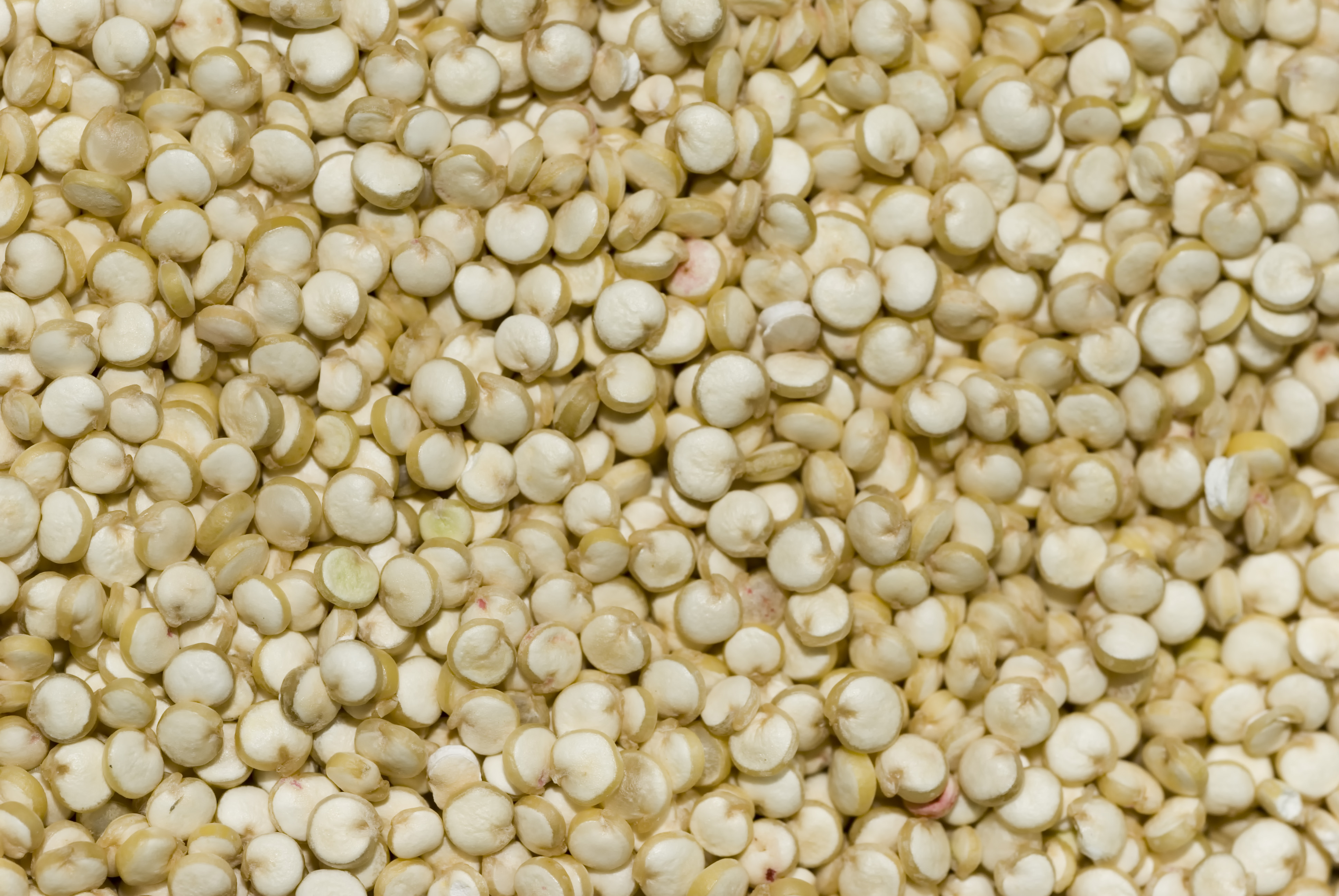 Quinoa_closeup.jpg