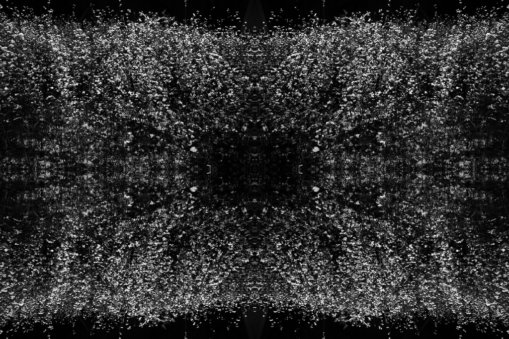 p929_04b_resize.JPG