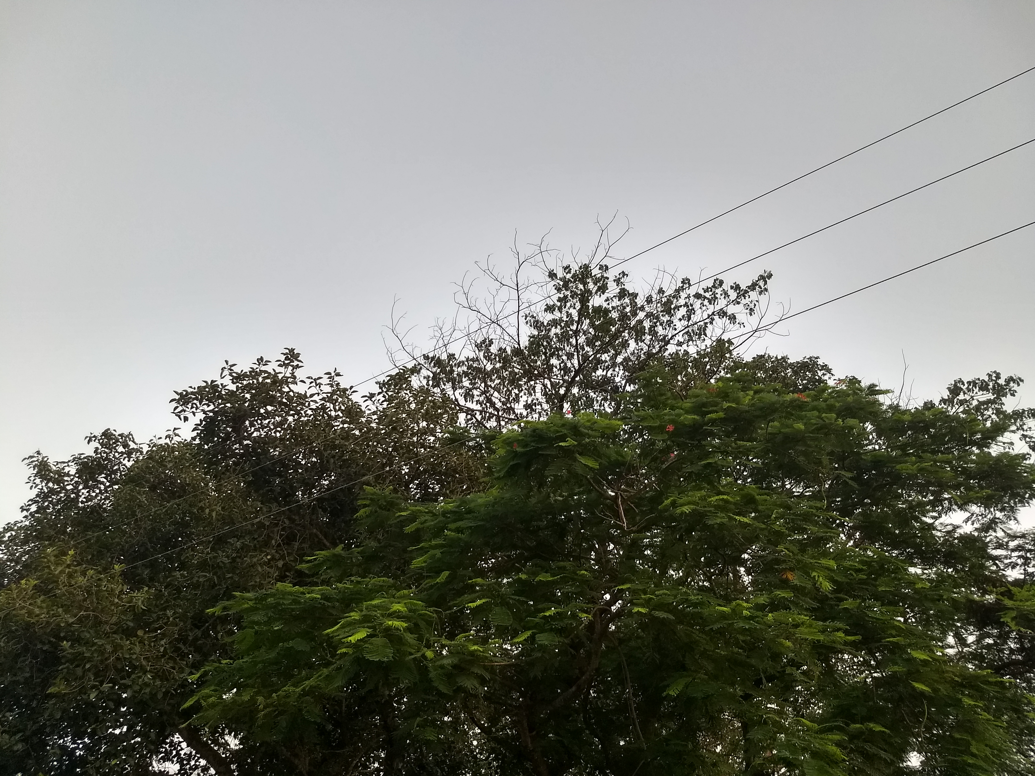 IMG_20180618_183410844_HDR.jpg