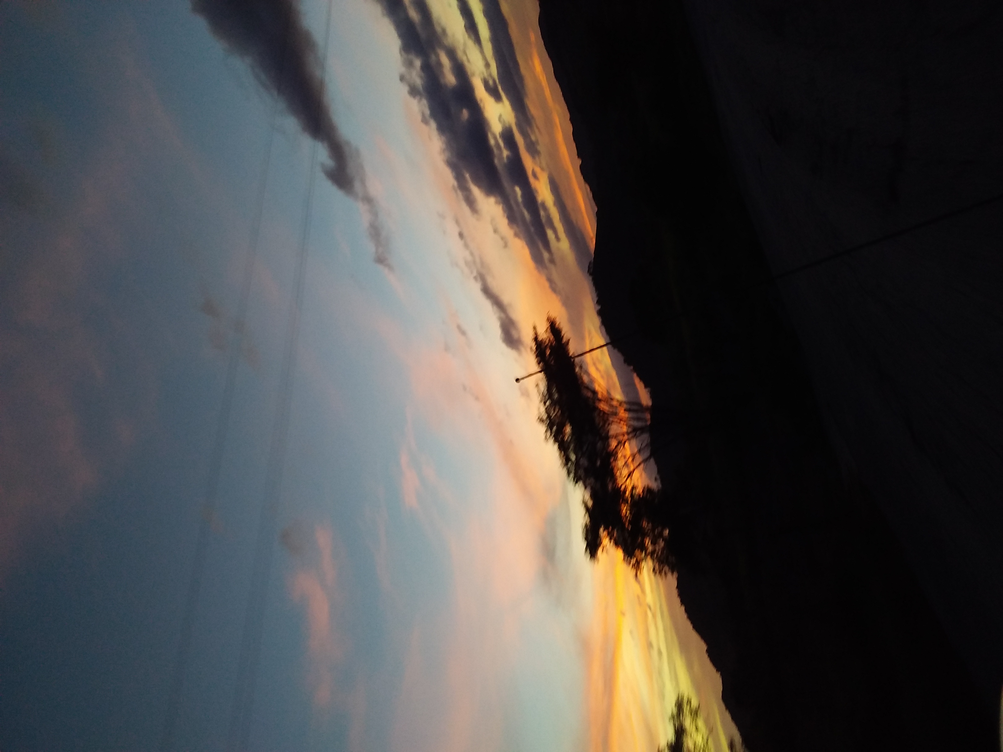 20210603_191249.jpg