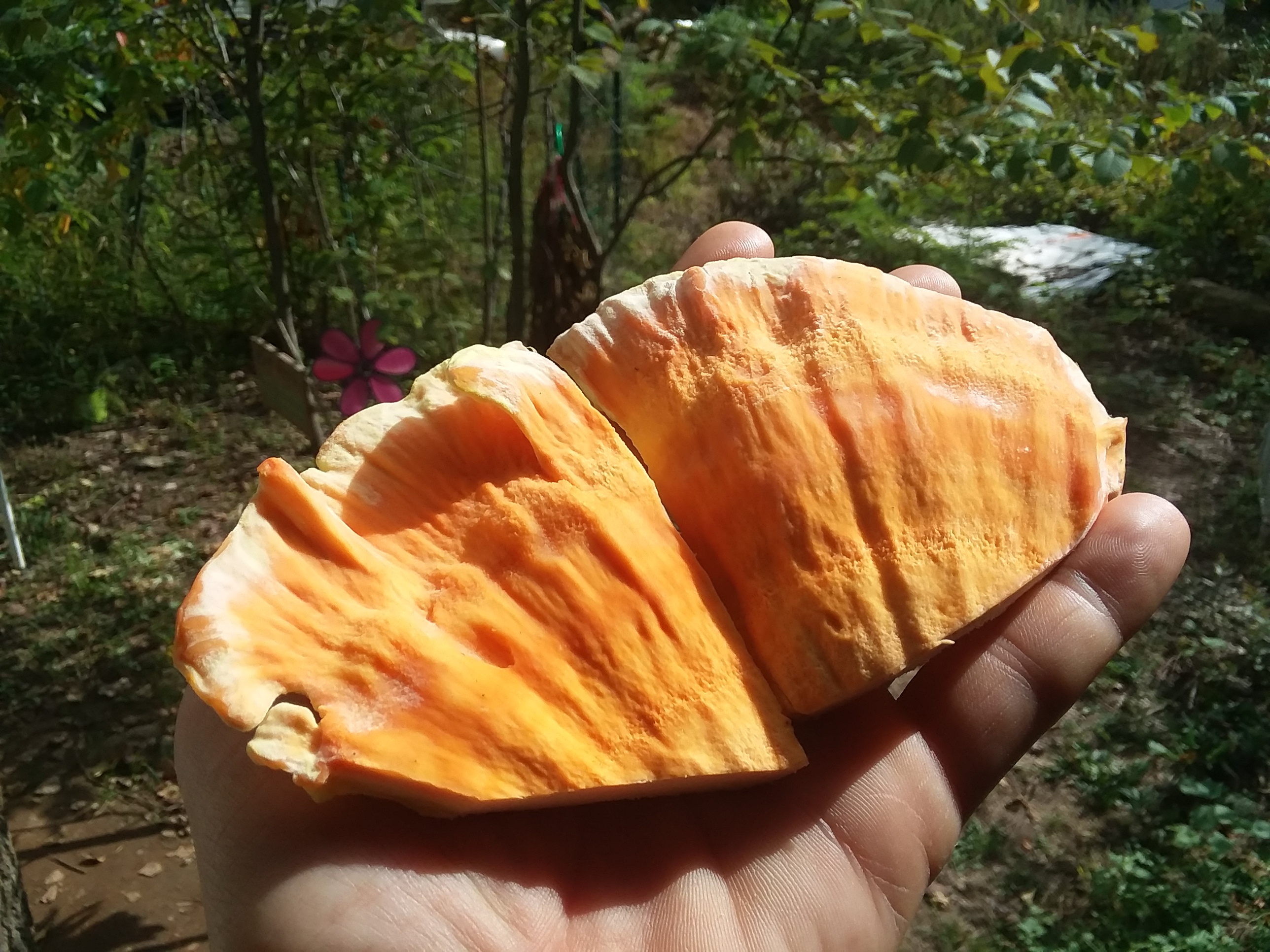 20181010_130359.jpg