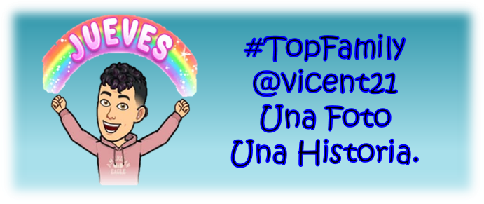 Firma vicent21 TOP FAMILY jueves una foto una historia.png