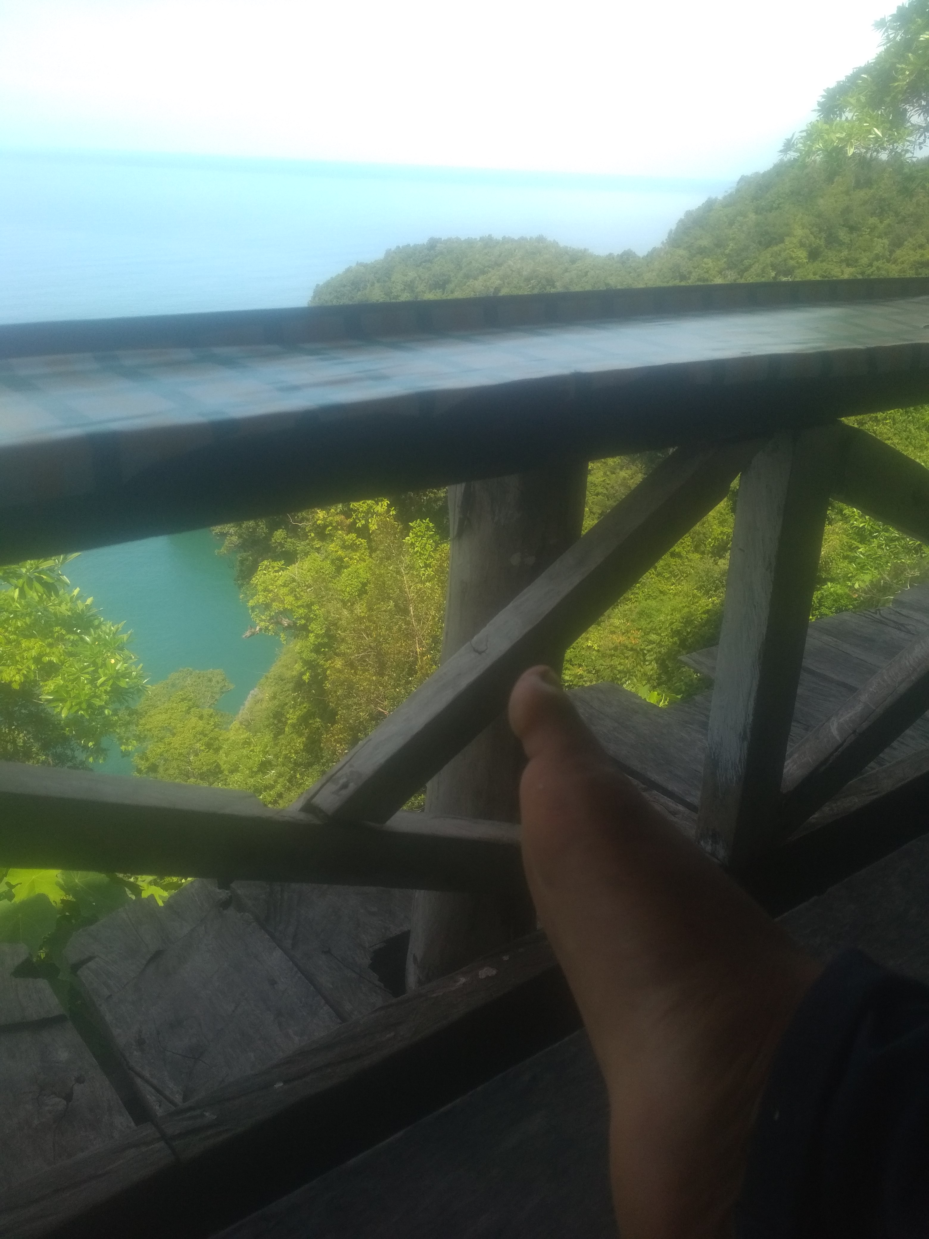 IMG_20210118_112016.jpg