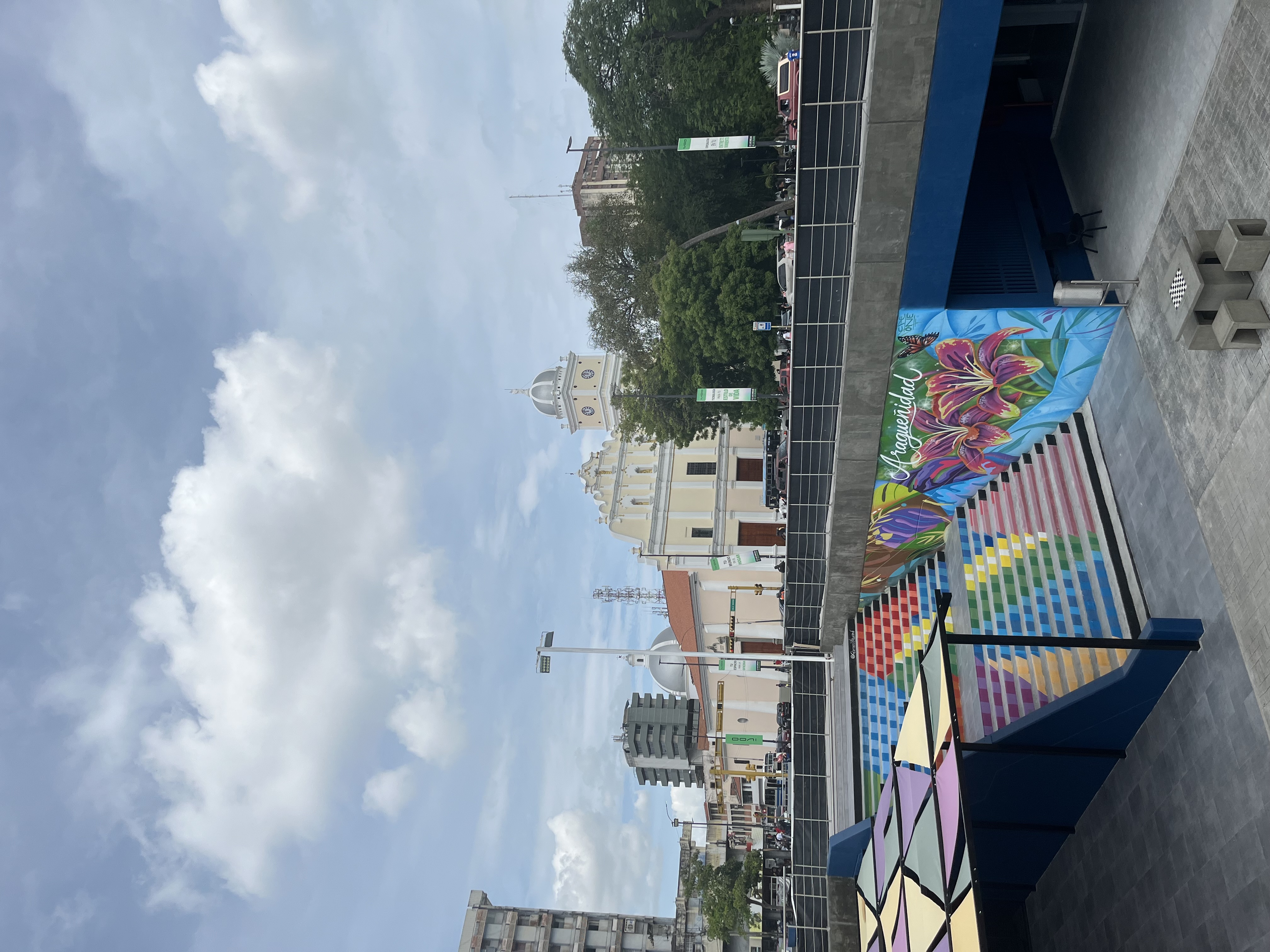 IMG_0032.jpeg