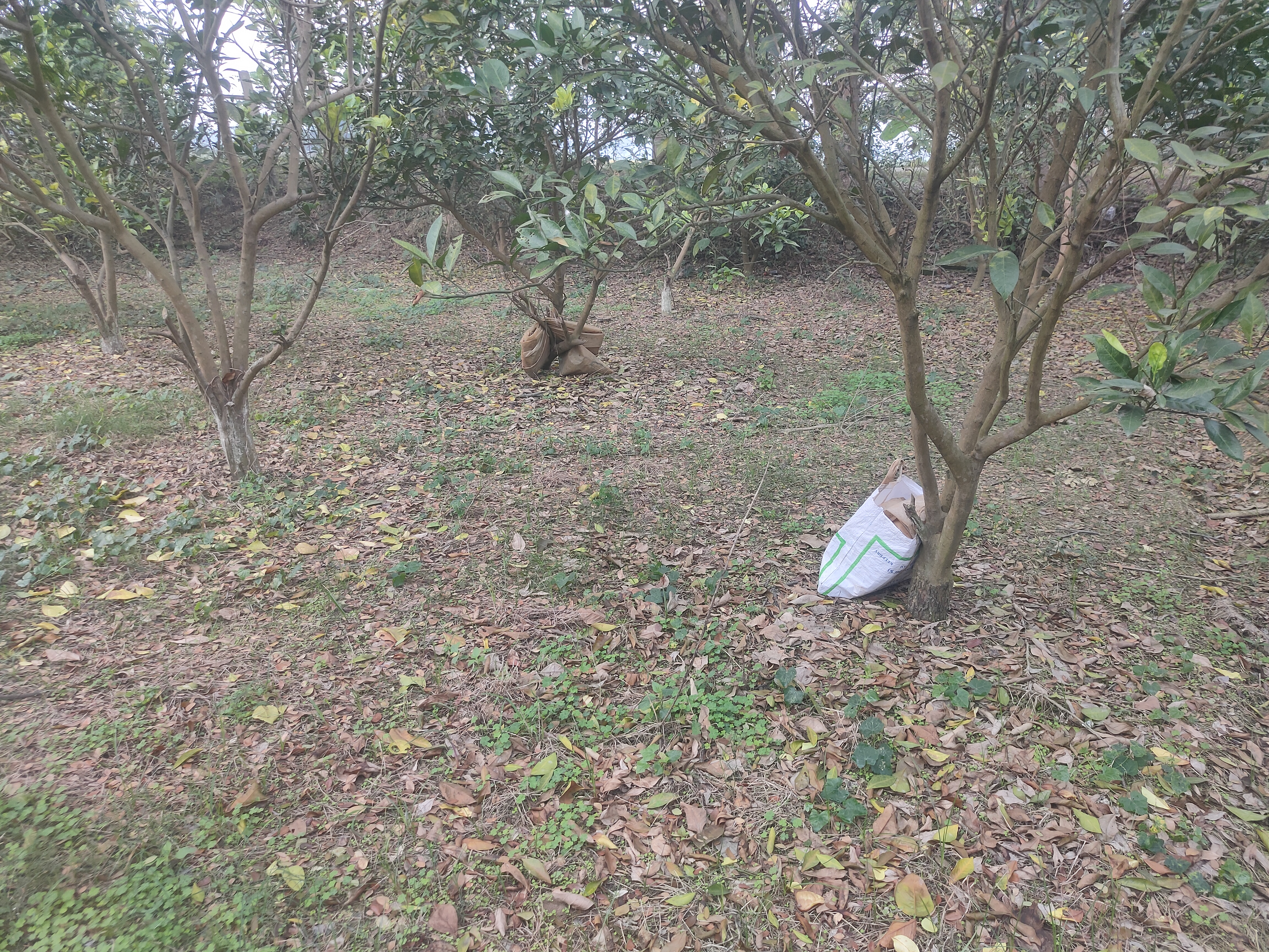 IMG20231223101413.jpg