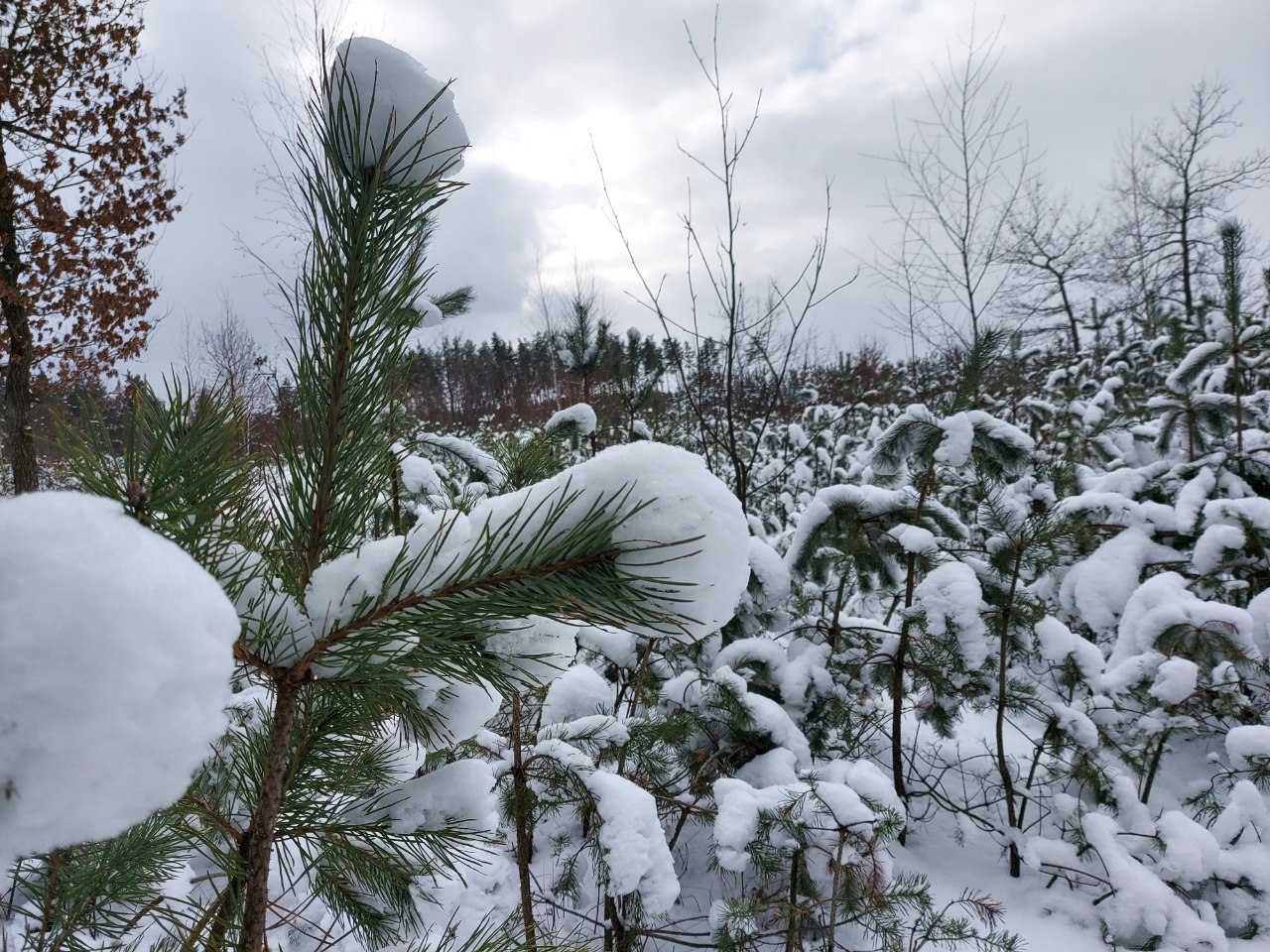 Photofeed Landscape Photography