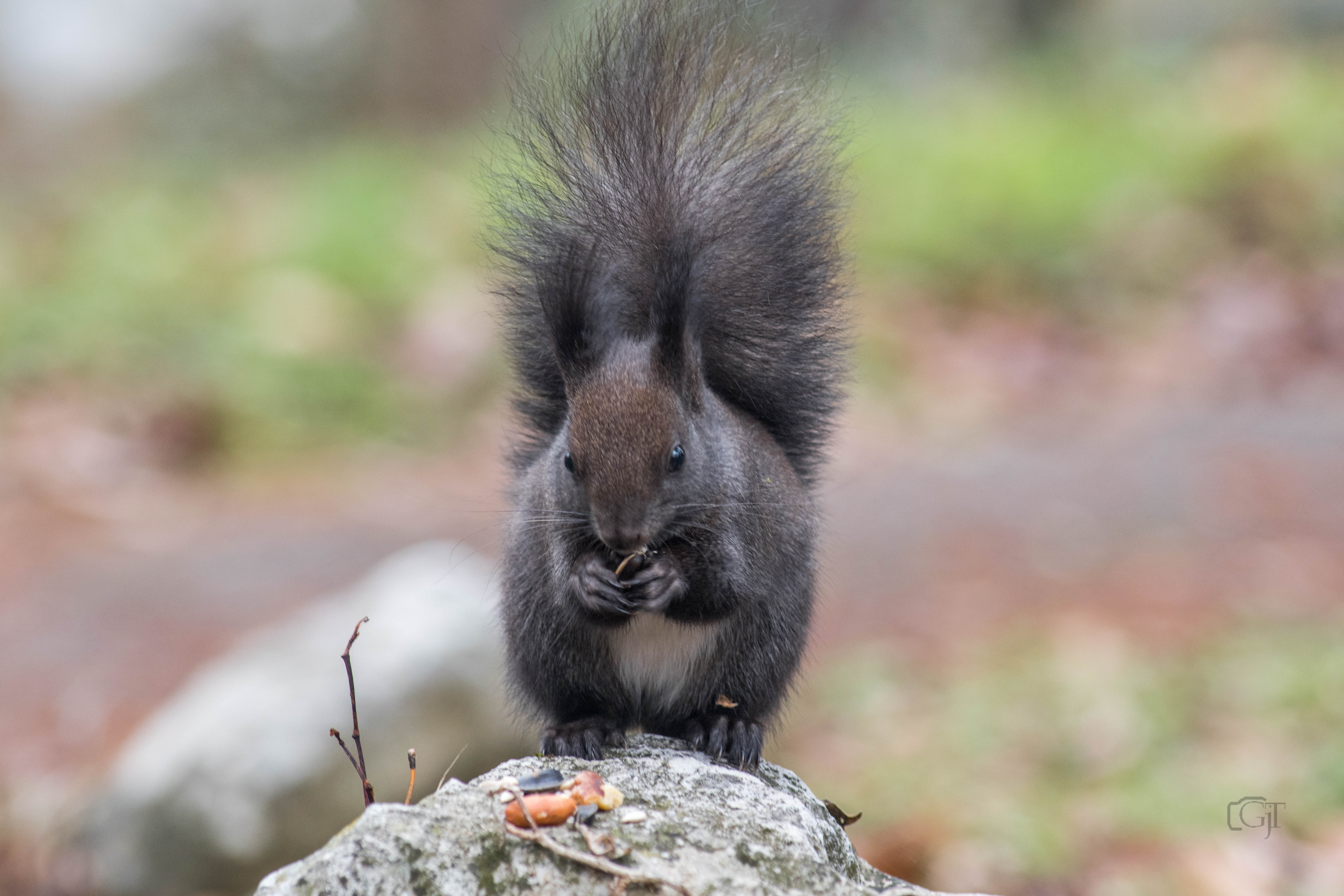 DSC_3405.jpg