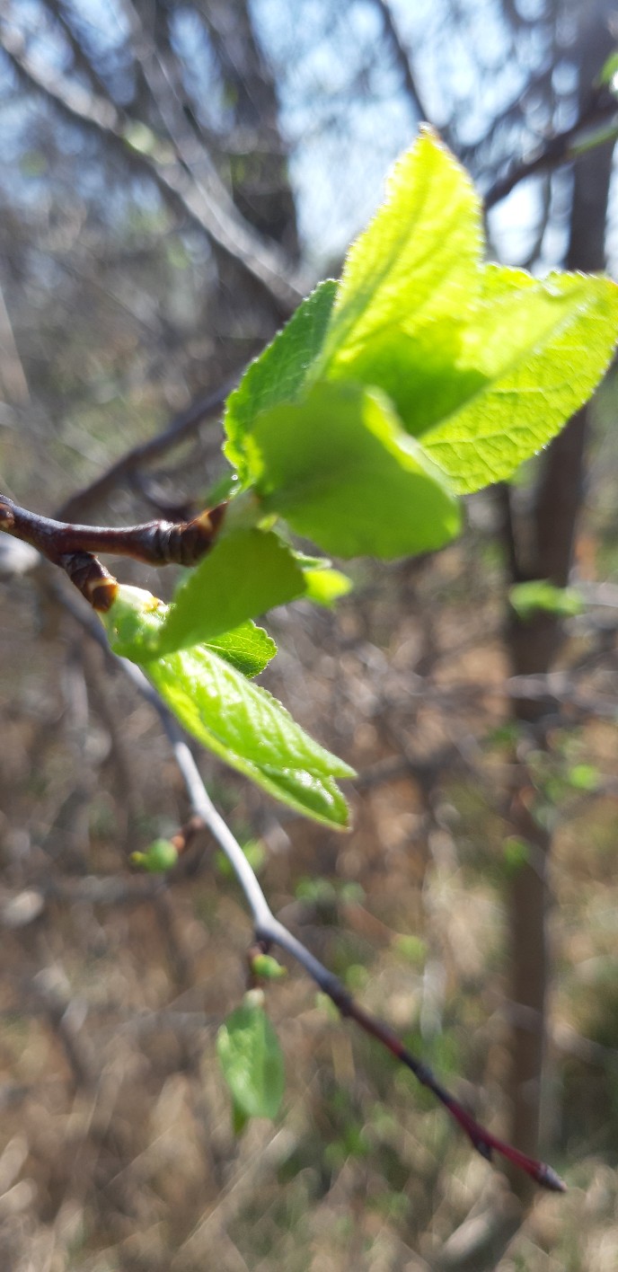 20190428_110315-688x1416.jpg