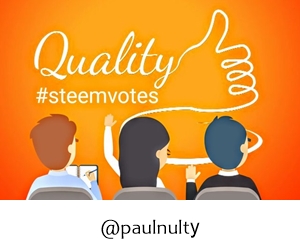 qaulitysteemvotes01paulnulty300x250.jpg