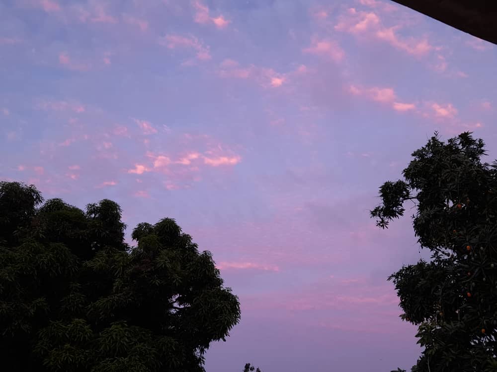 WhatsApp Image 2021-06-09 at 3.00.57 PM (4).jpeg