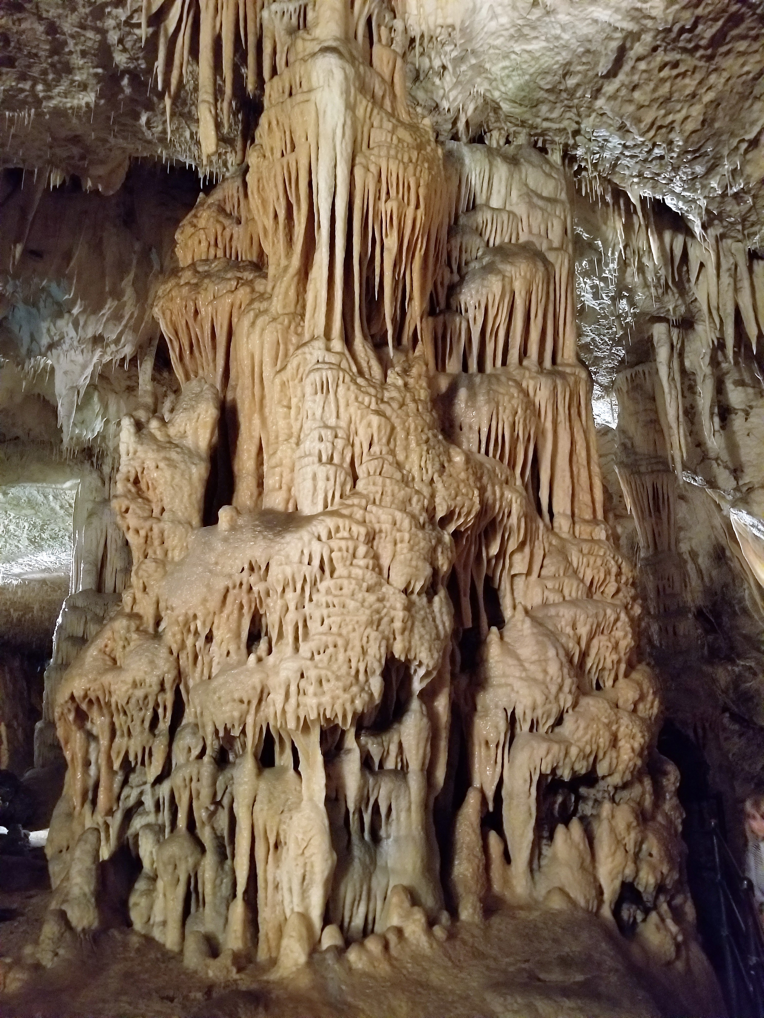 20180915_144516.jpg