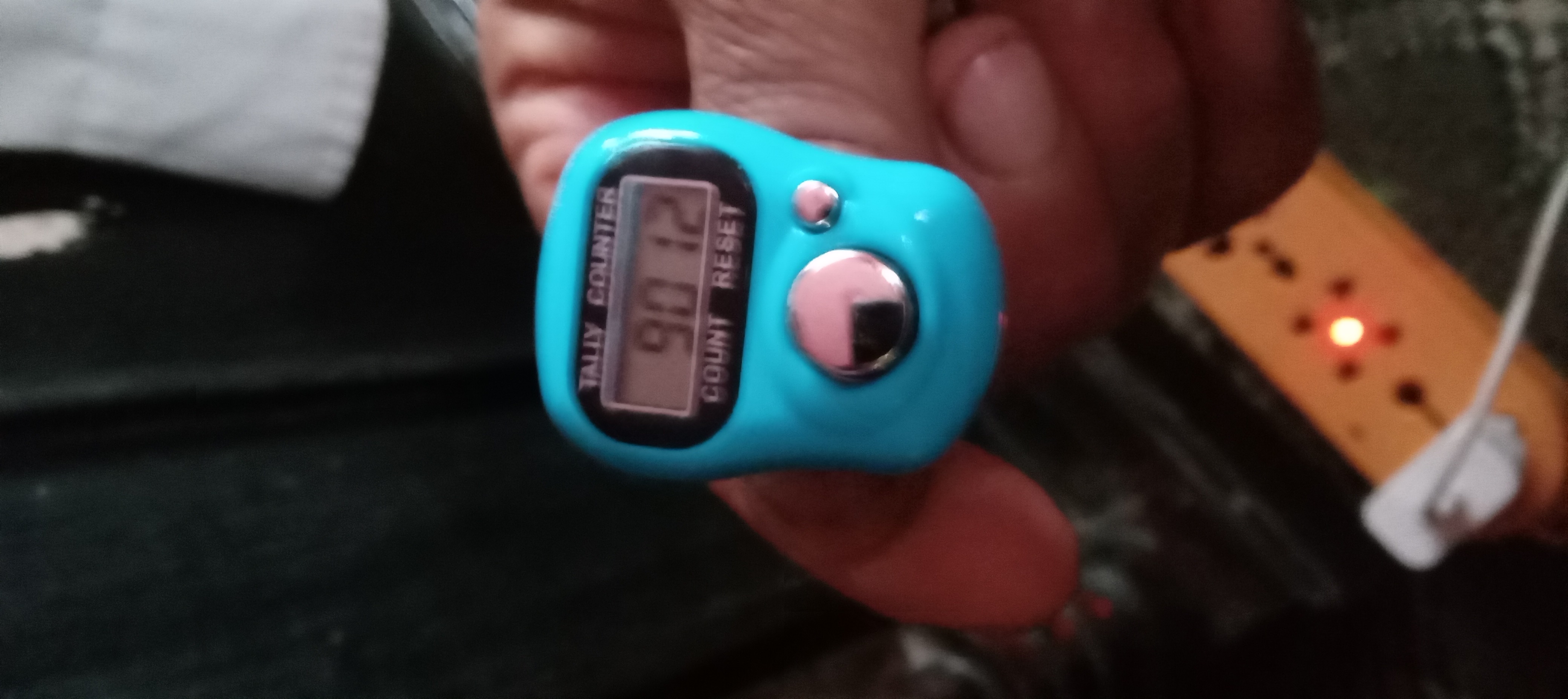 1000037447.jpg