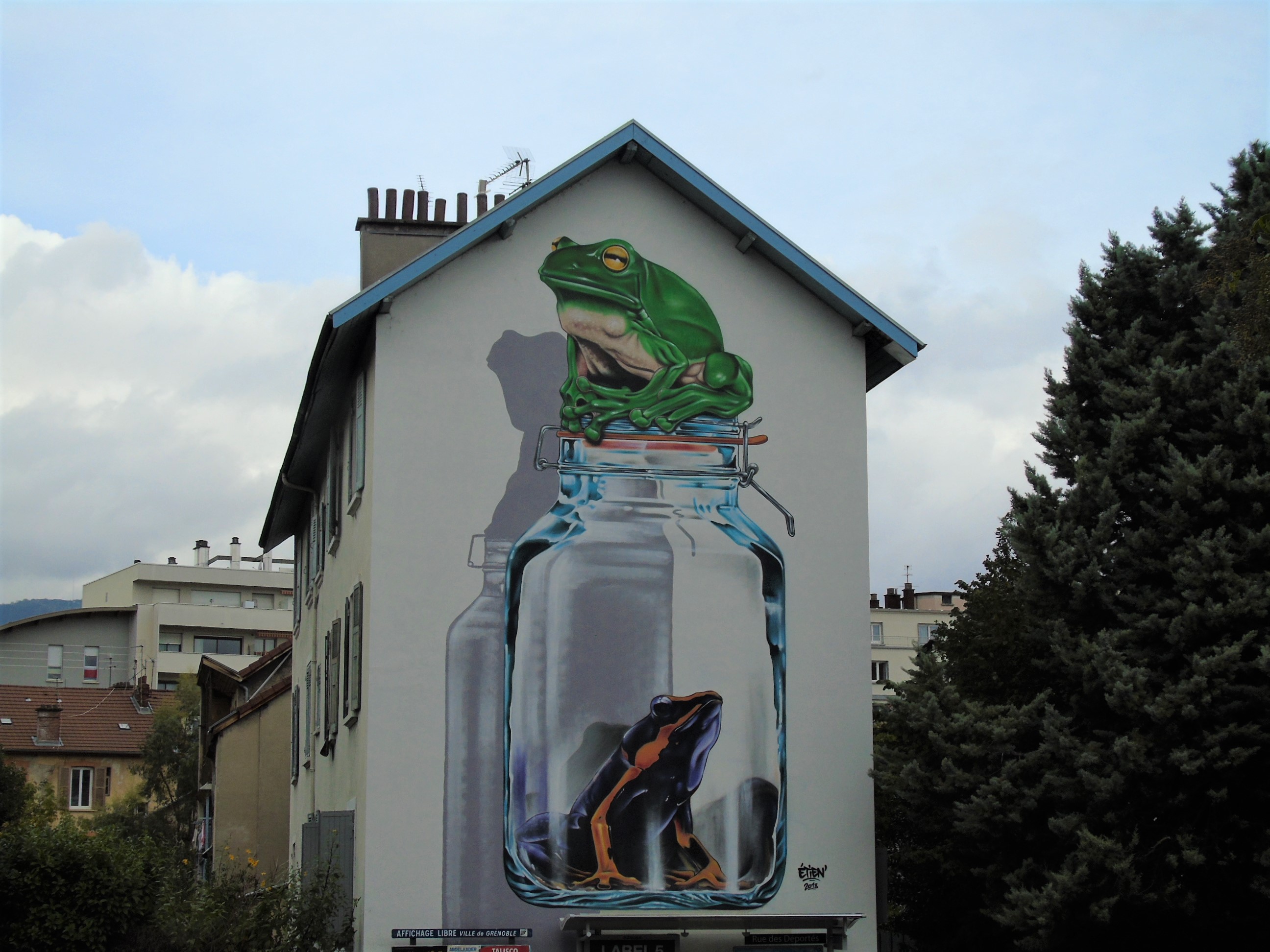 11111grenouille (3).JPG