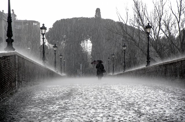 rain-275317_640.jpg