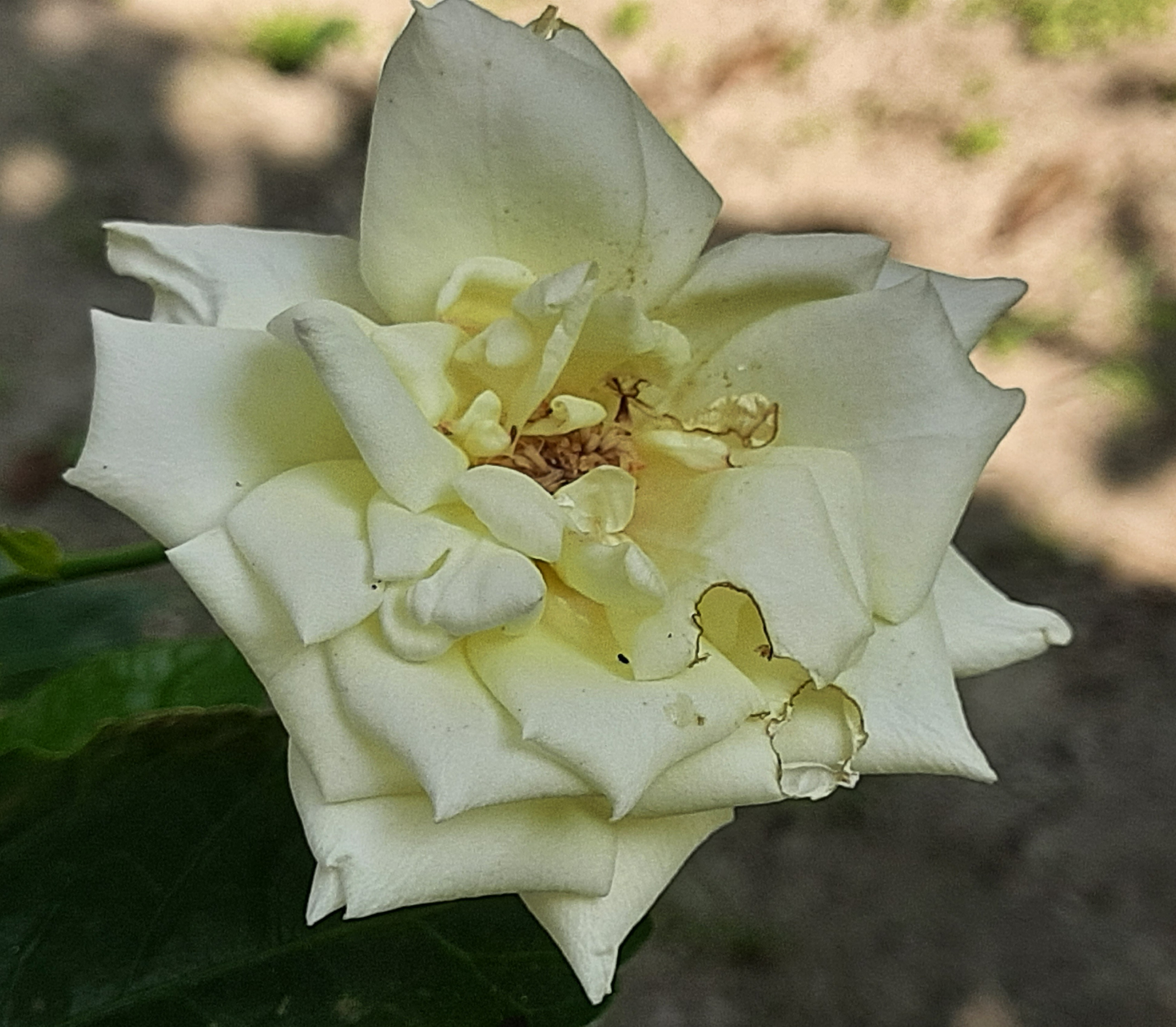 20251028_134323.jpg