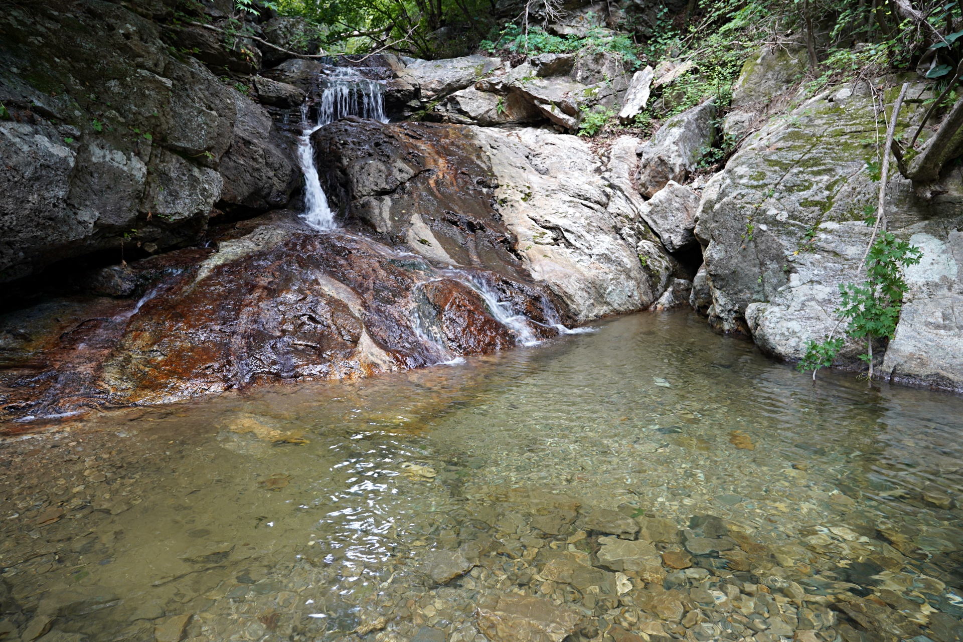 b-S260807-132414.jpg