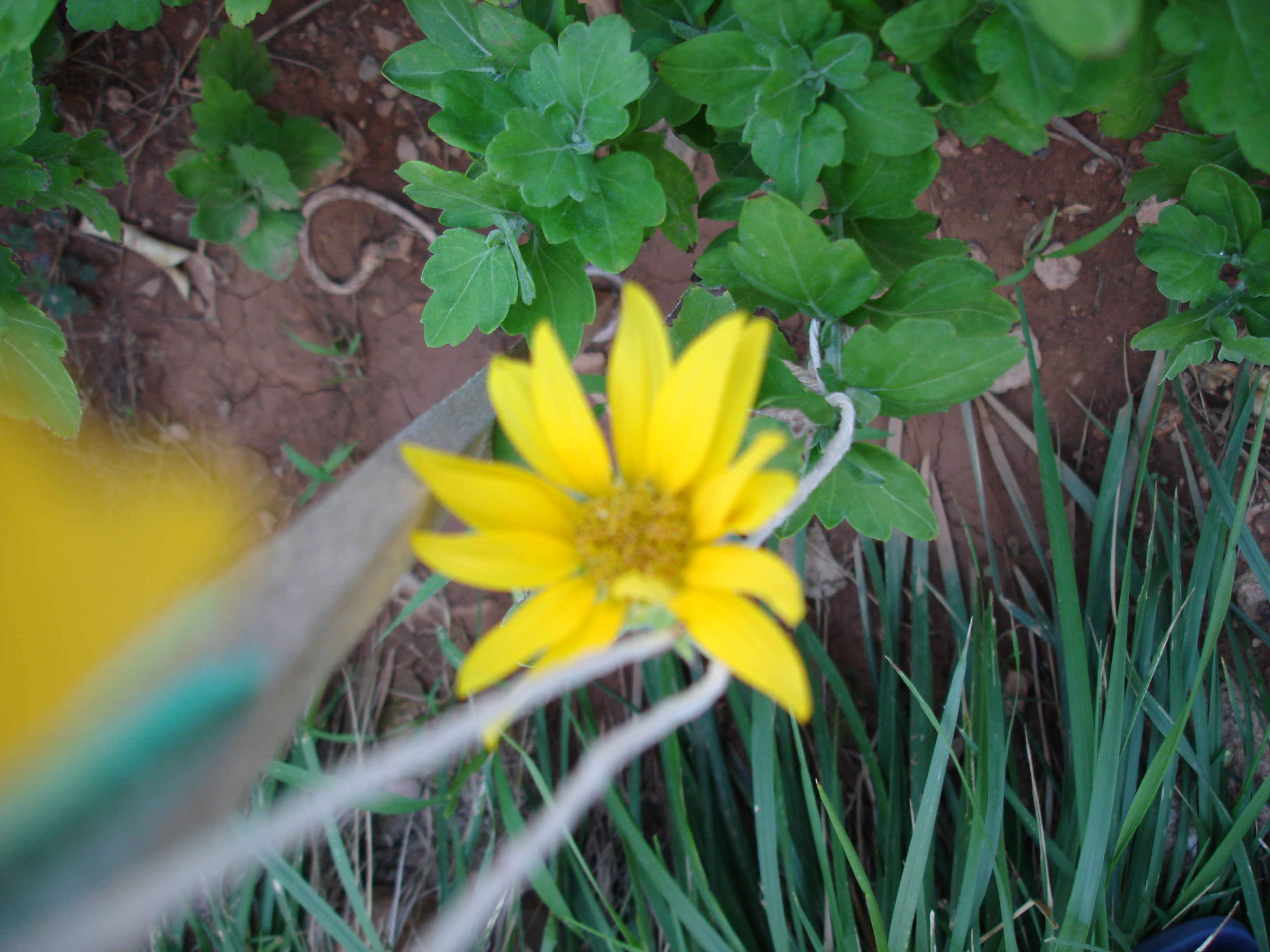 DSC00186.JPG