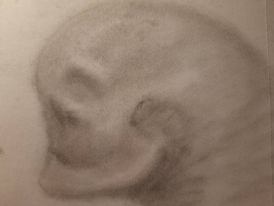 20260522_100726.jpg