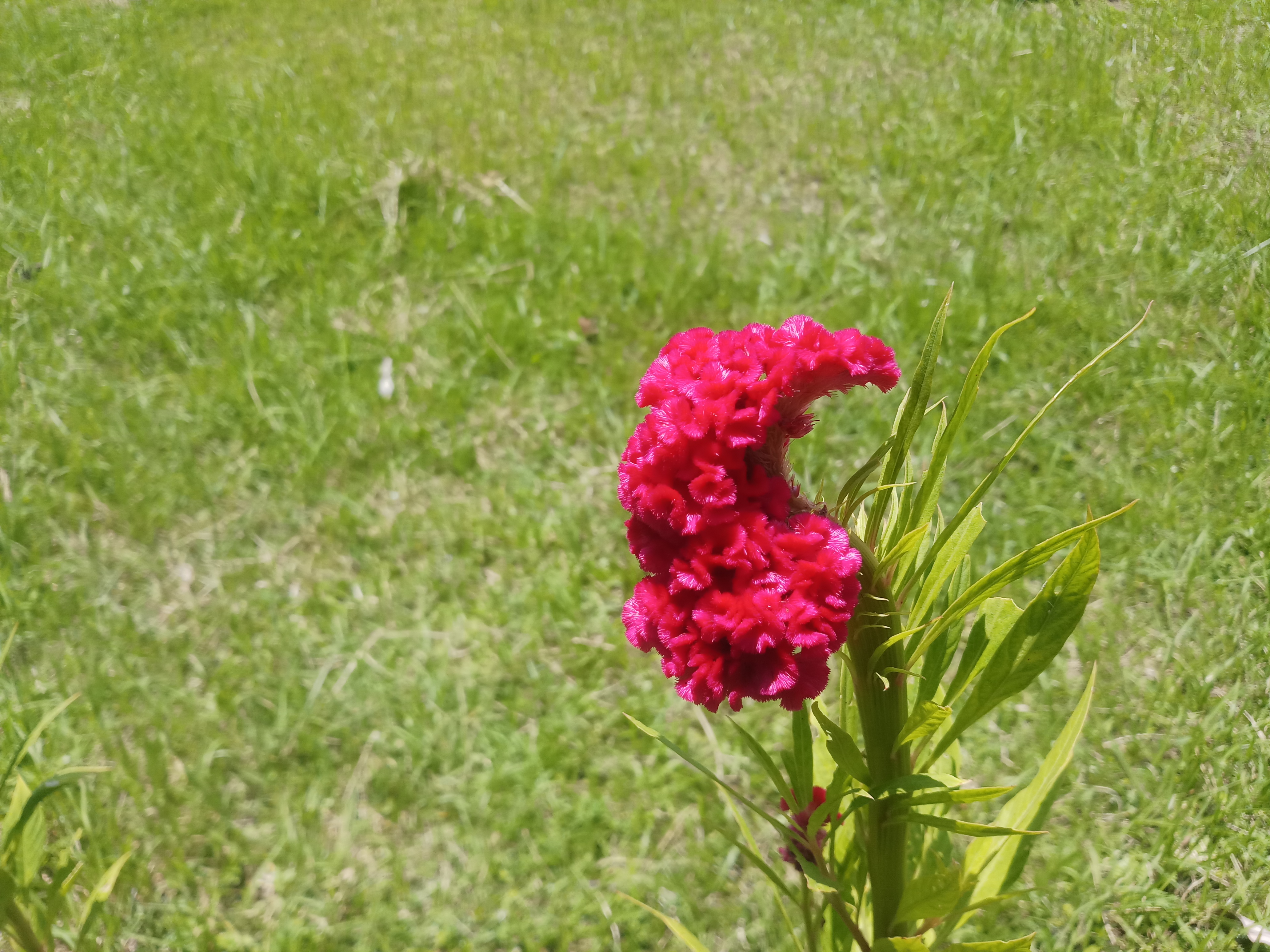 20190806_124623.jpg