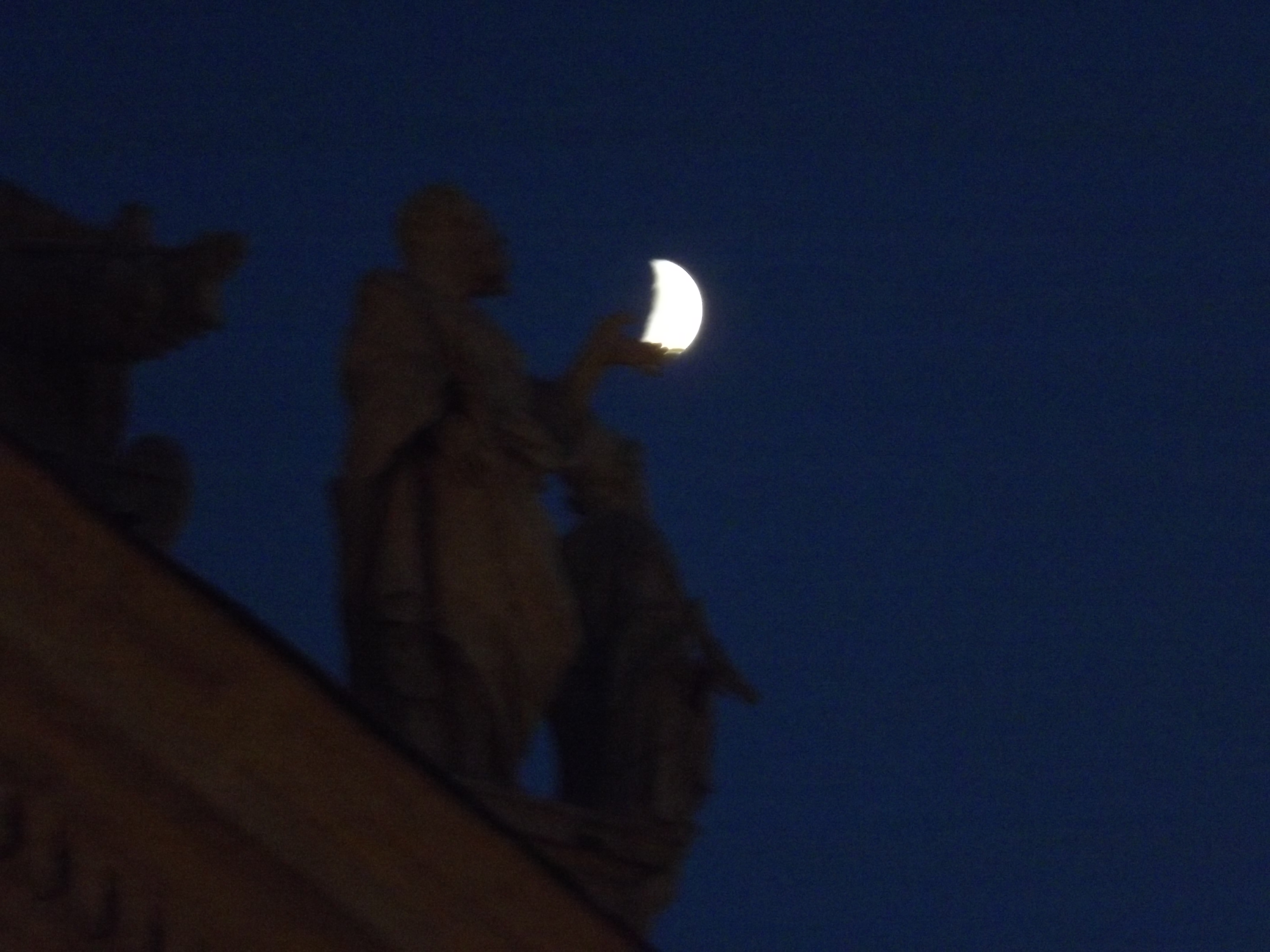 Picture 013.jpg
