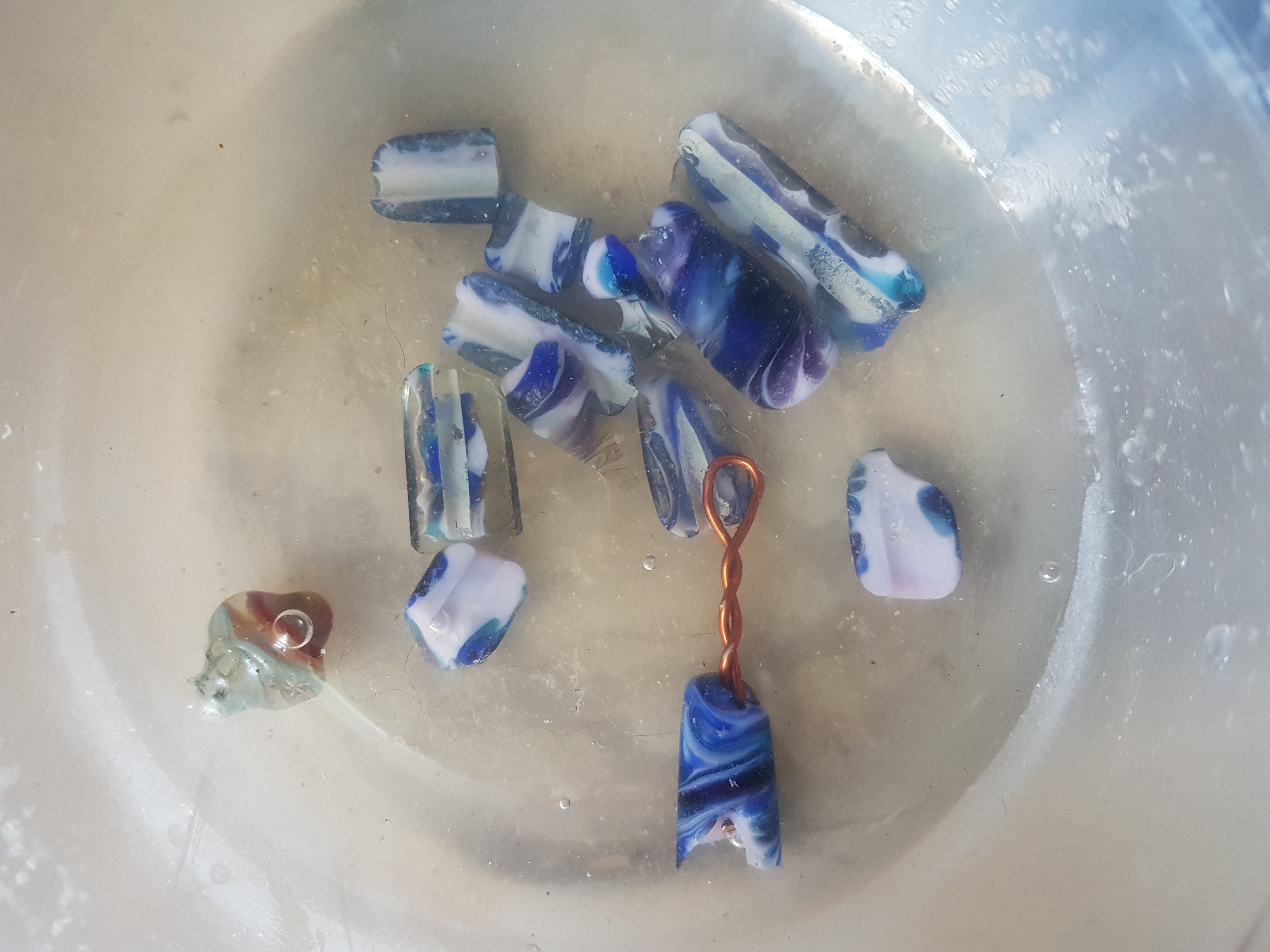 20190526_110531.jpg