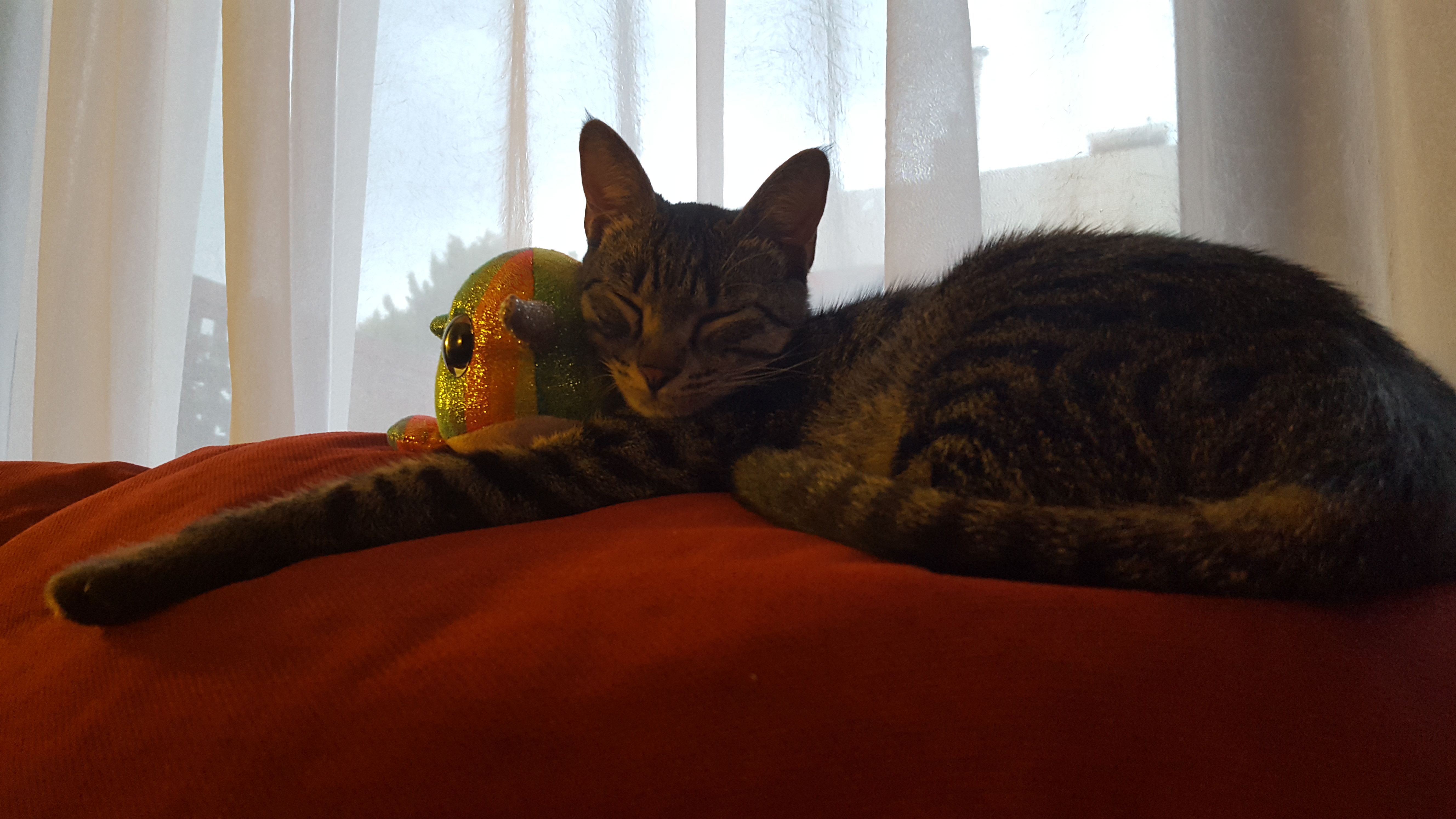 20190108_171840.jpg