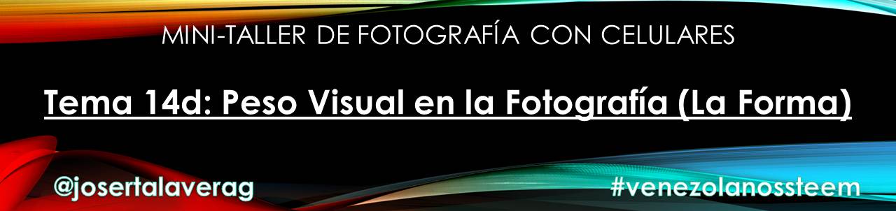 Tema 14d La Forma.jpg