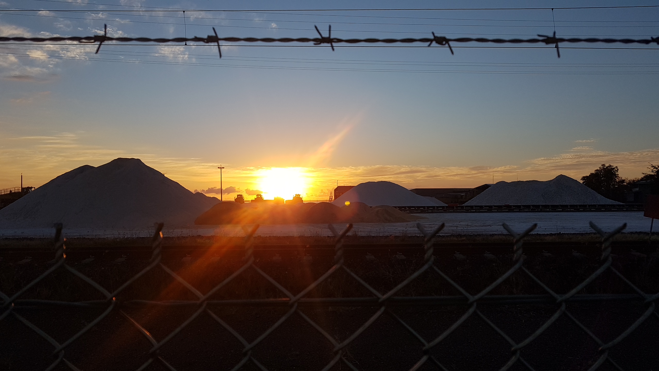 20190320_060549.jpg
