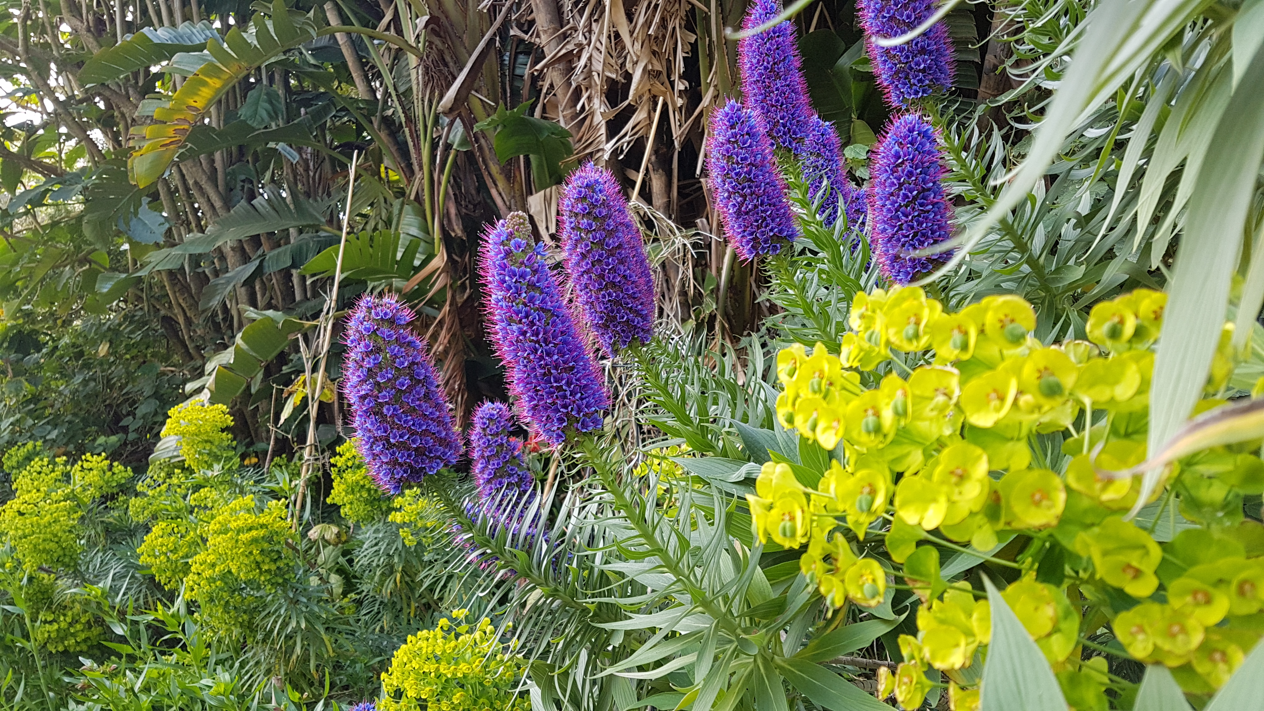 20181004_032023.jpg