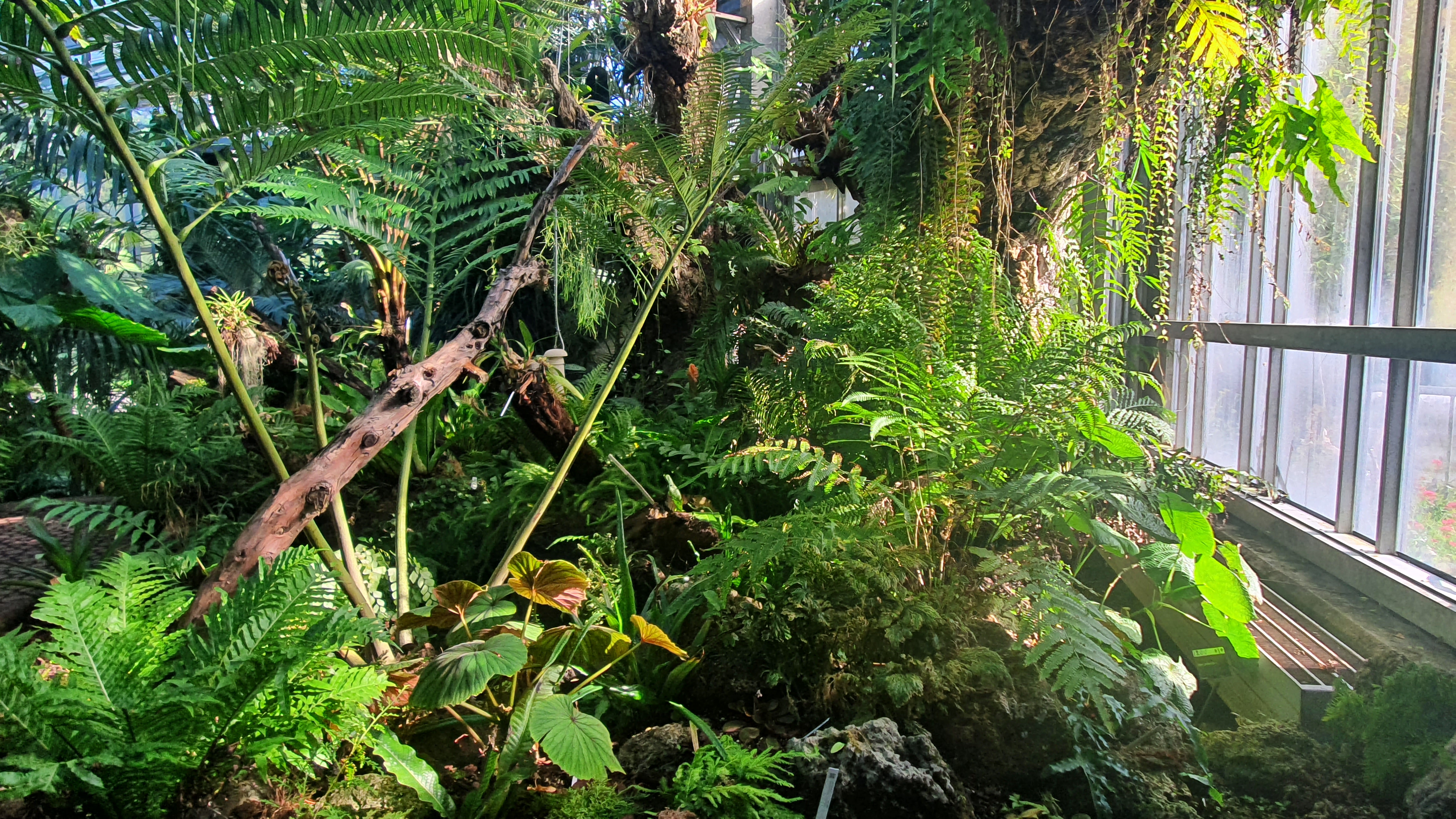 20220912_165641.jpg