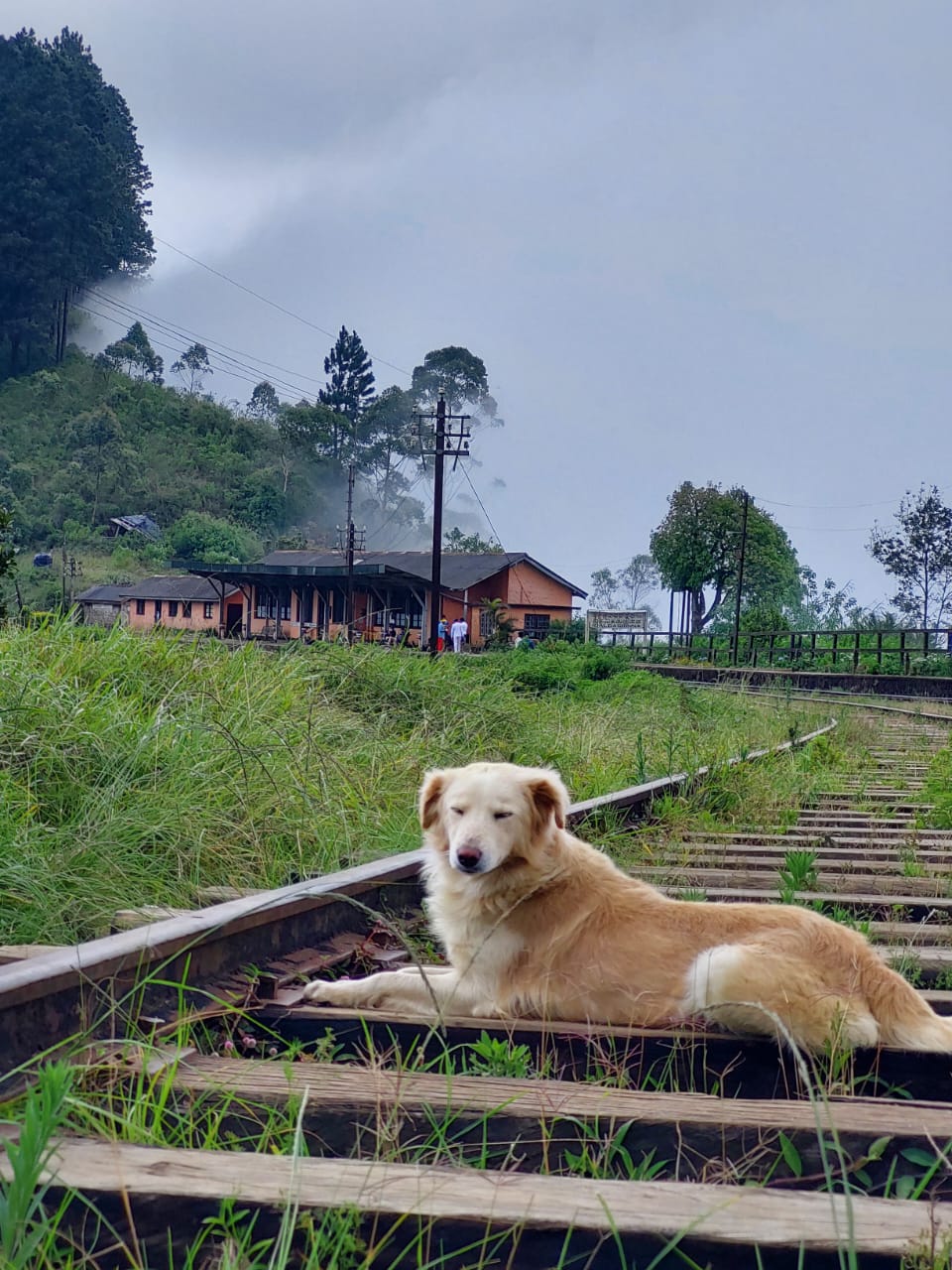 WhatsApp Image 2022-08-24 at 6.53.48 PM (1).jpeg