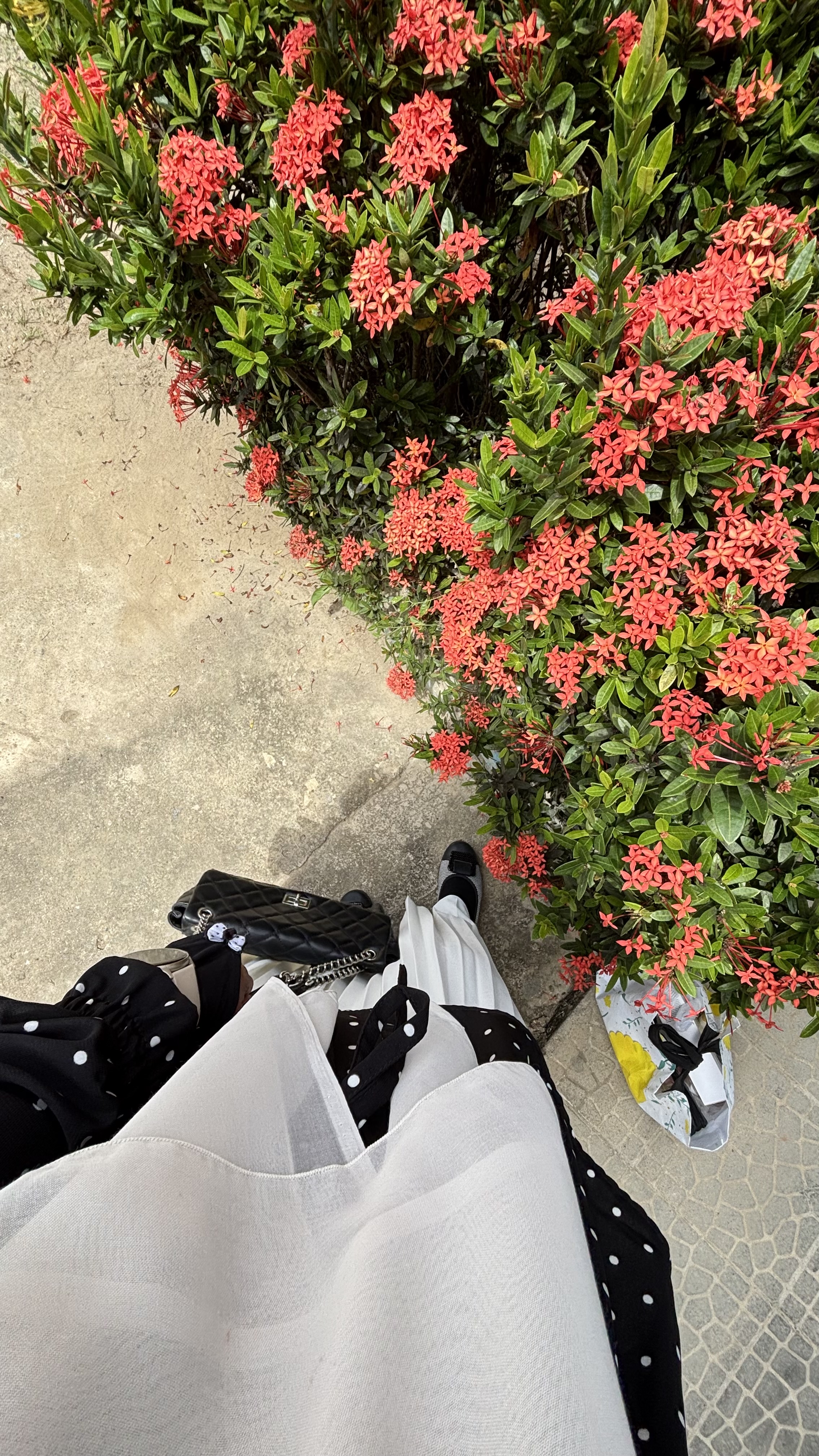 IMG_3701.jpeg