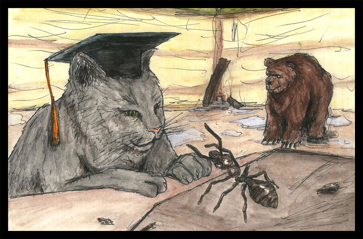 cat drawing