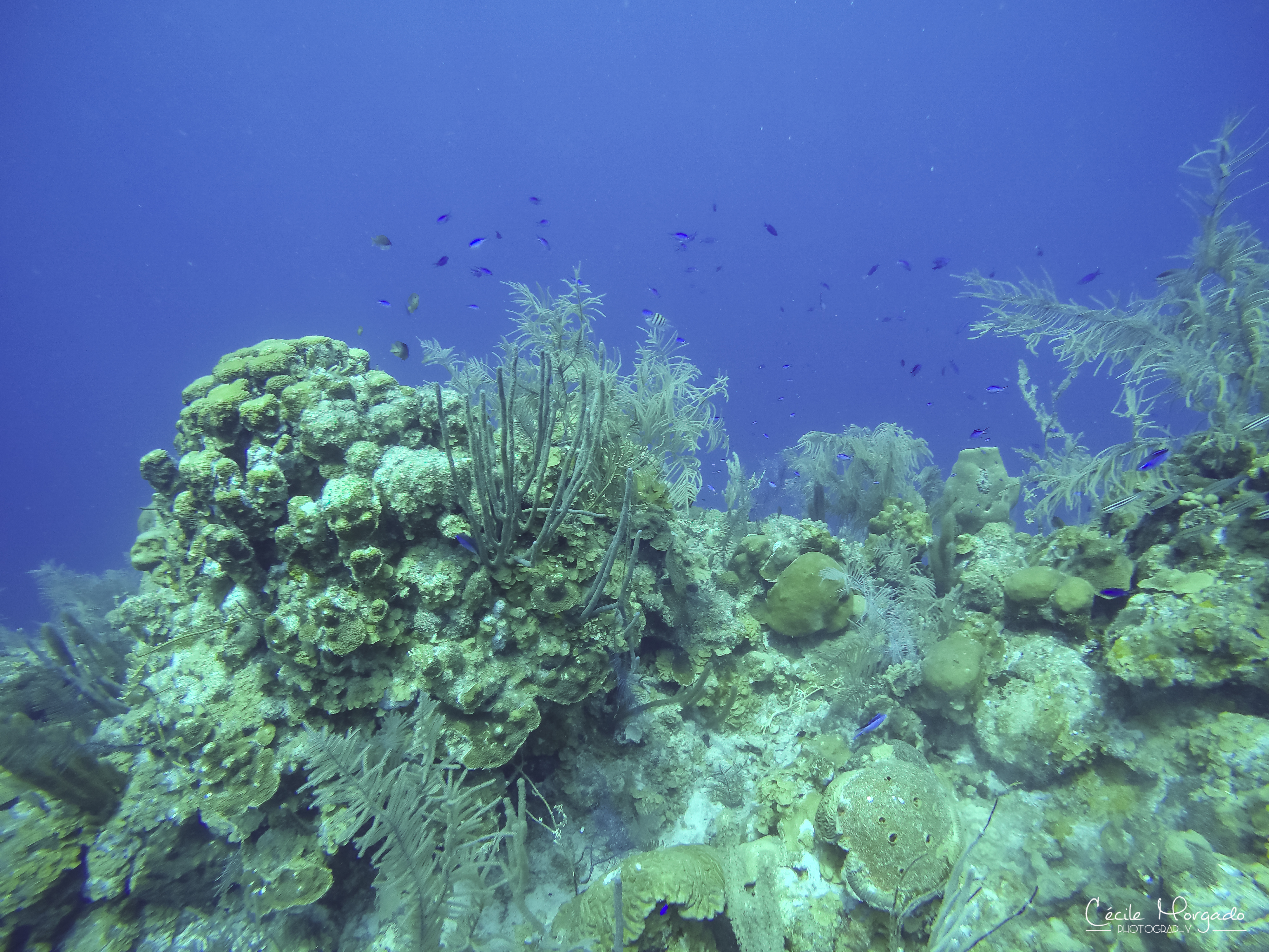 GOPR0948-16.jpg