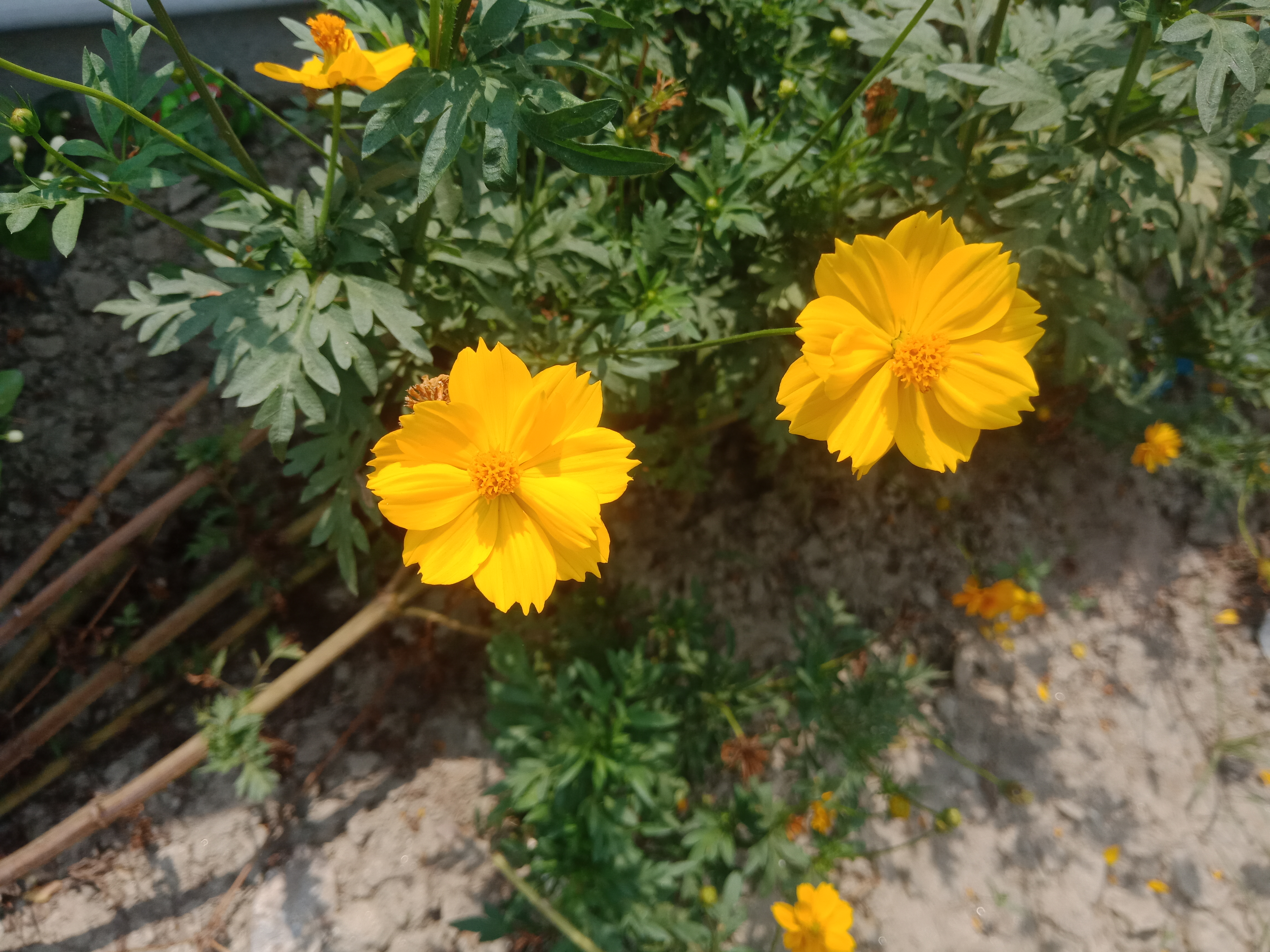 IMG20190515095921.jpg