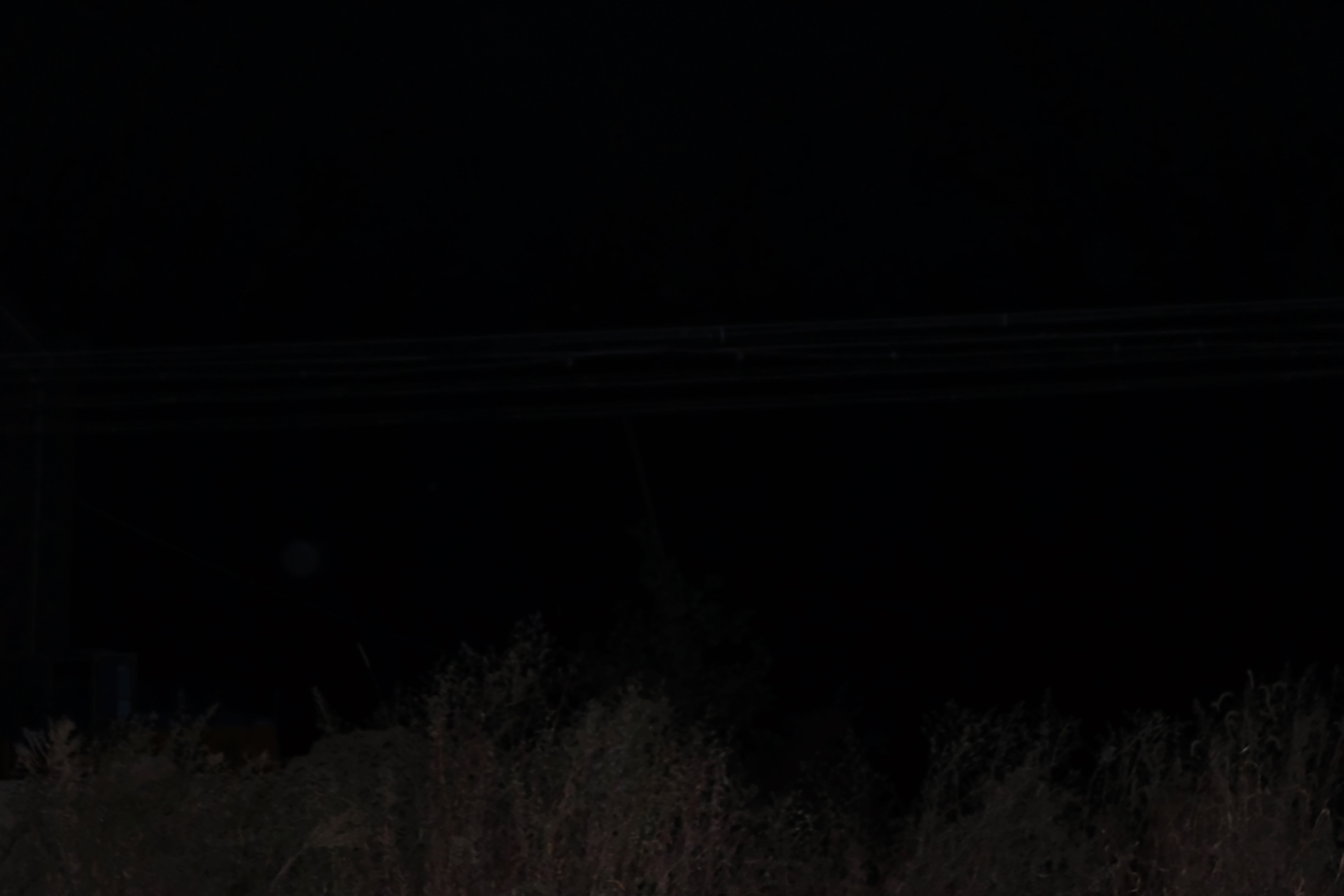 DSCF1486.jpg